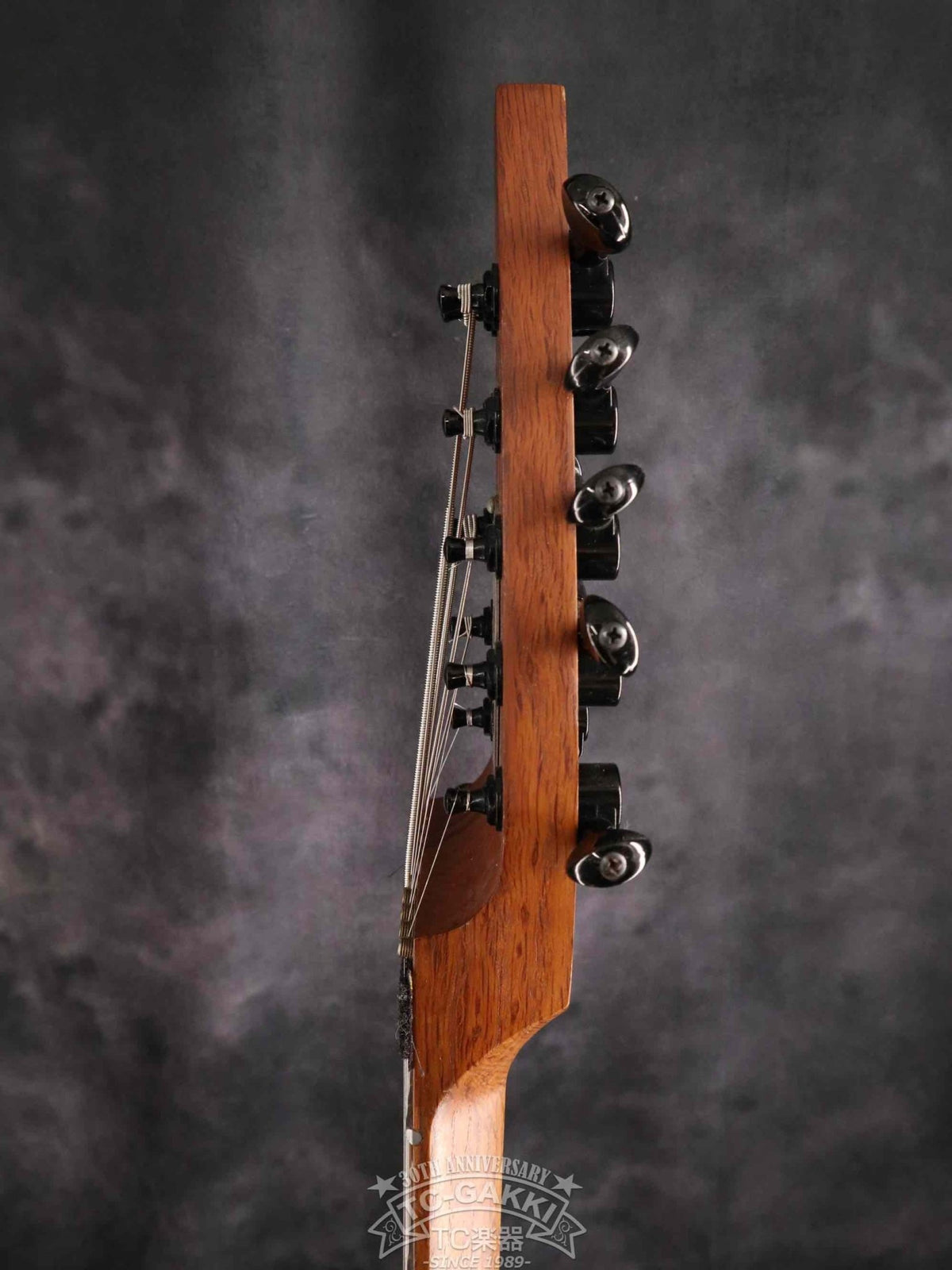 Chapman Stick The Stick 10 stirings - TC楽器 - TCGAKKI