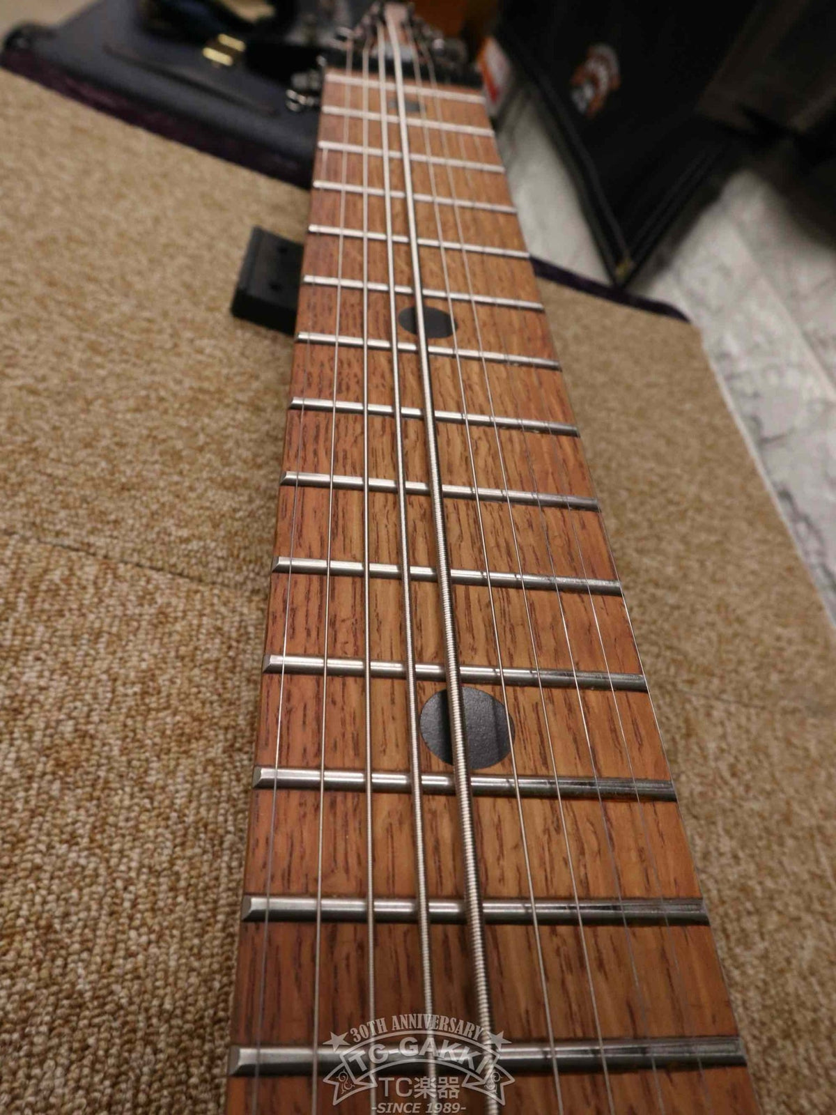 Chapman Stick The Stick 10 stirings - TC楽器 - TCGAKKI