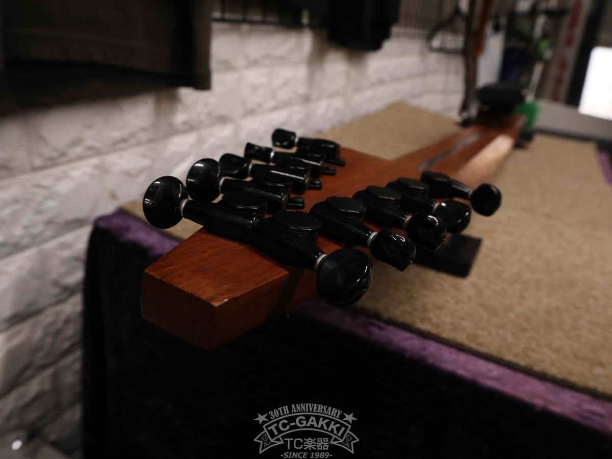 Chapman Stick The Stick 10 stirings - TC楽器 - TCGAKKI