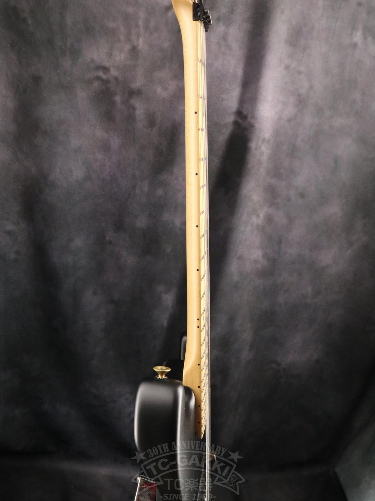 Charvel Custom Shop San Dimas 1H - TC楽器 - TCGAKKI