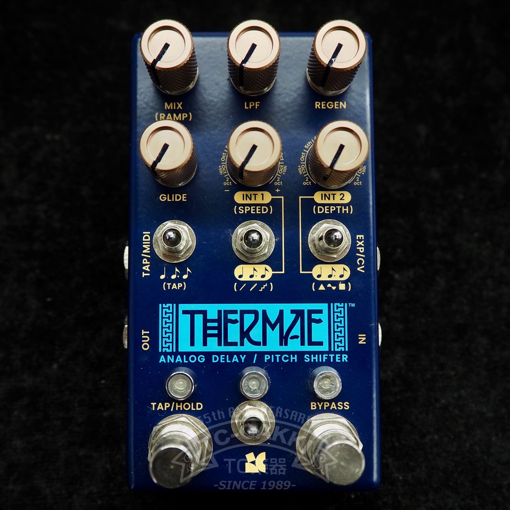 CHASE BLISS AUDIO THERMAE ANALOG DELAY/PITCH SHIFTER - TC楽器 - TCGAKKI