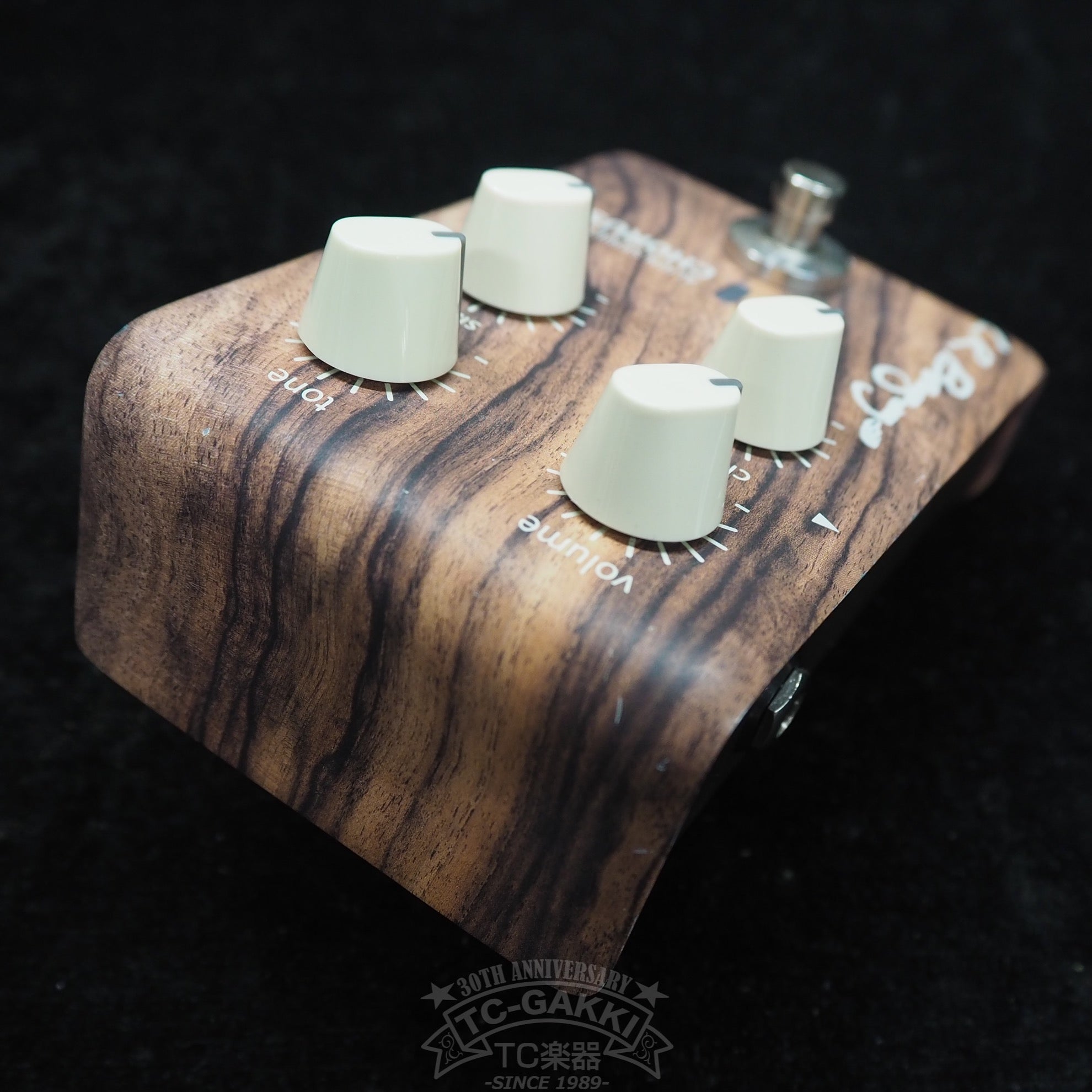 CHORUS “ALIGN SERIES” - TC楽器 - TCGAKKI