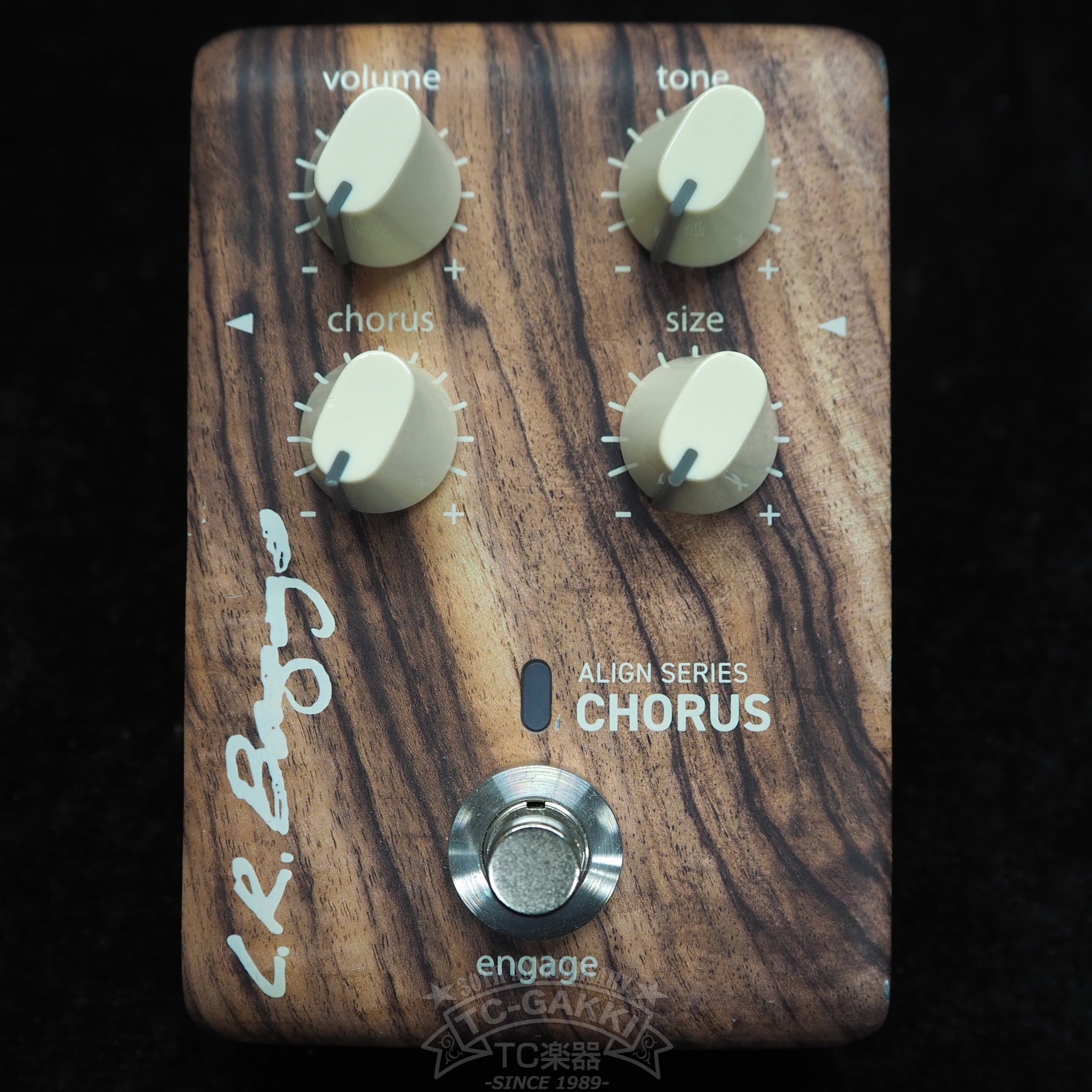 CHORUS “ALIGN SERIES” - TC楽器 - TCGAKKI