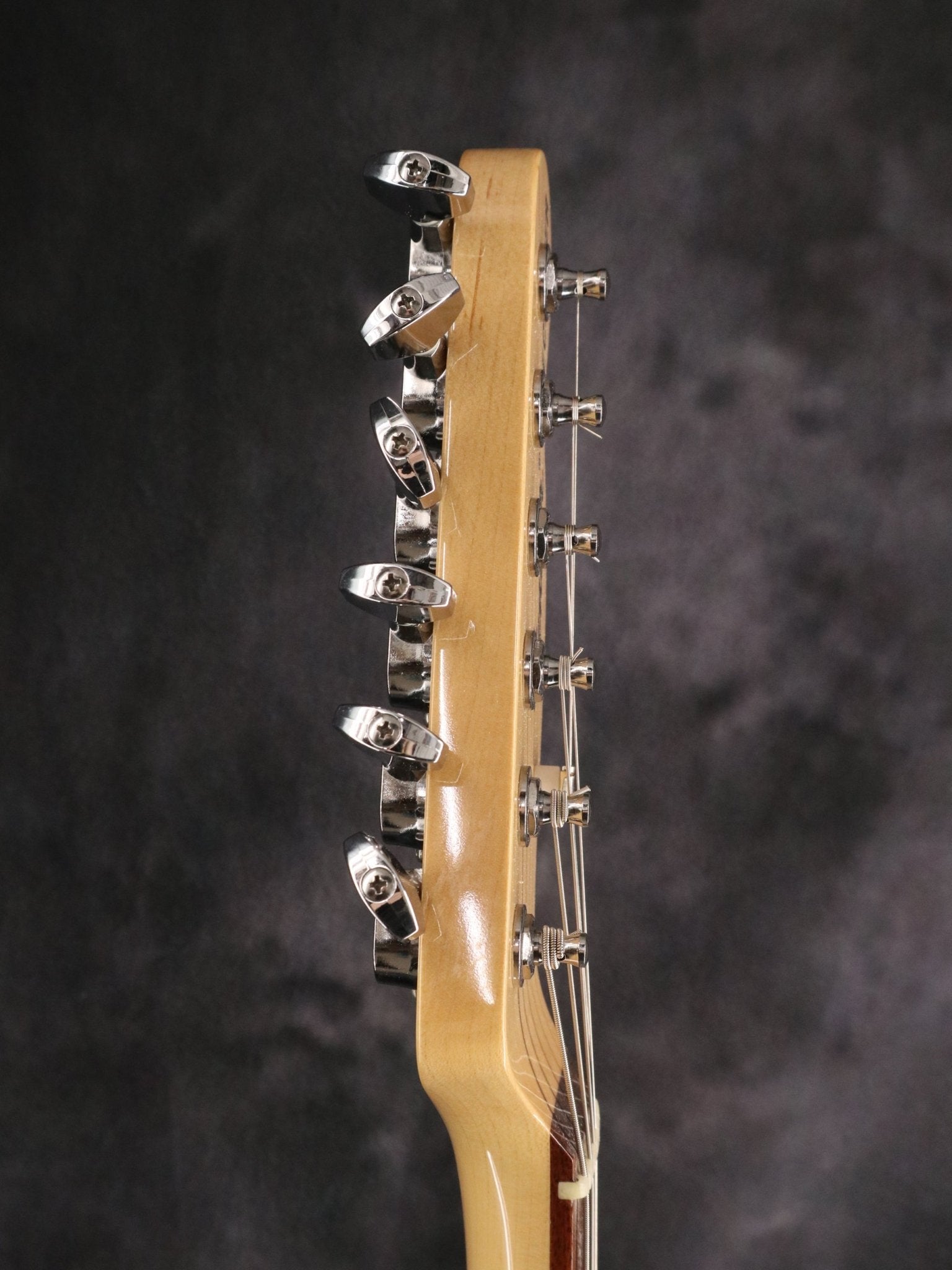 Component TL Type - TC楽器 - TCGAKKI