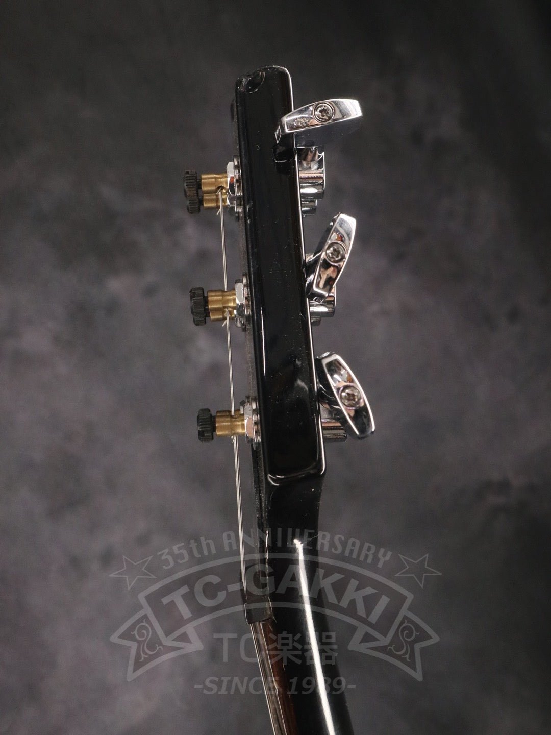 Custom 24 - TC楽器 - TCGAKKI