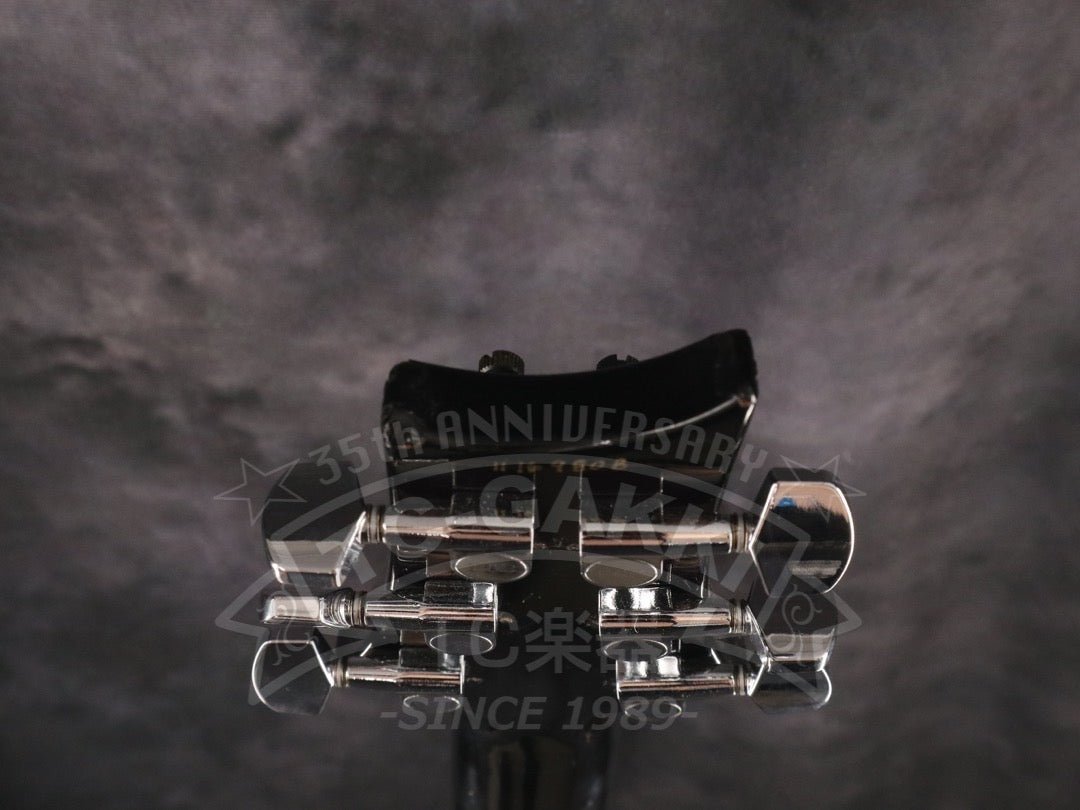 Custom 24 - TC楽器 - TCGAKKI