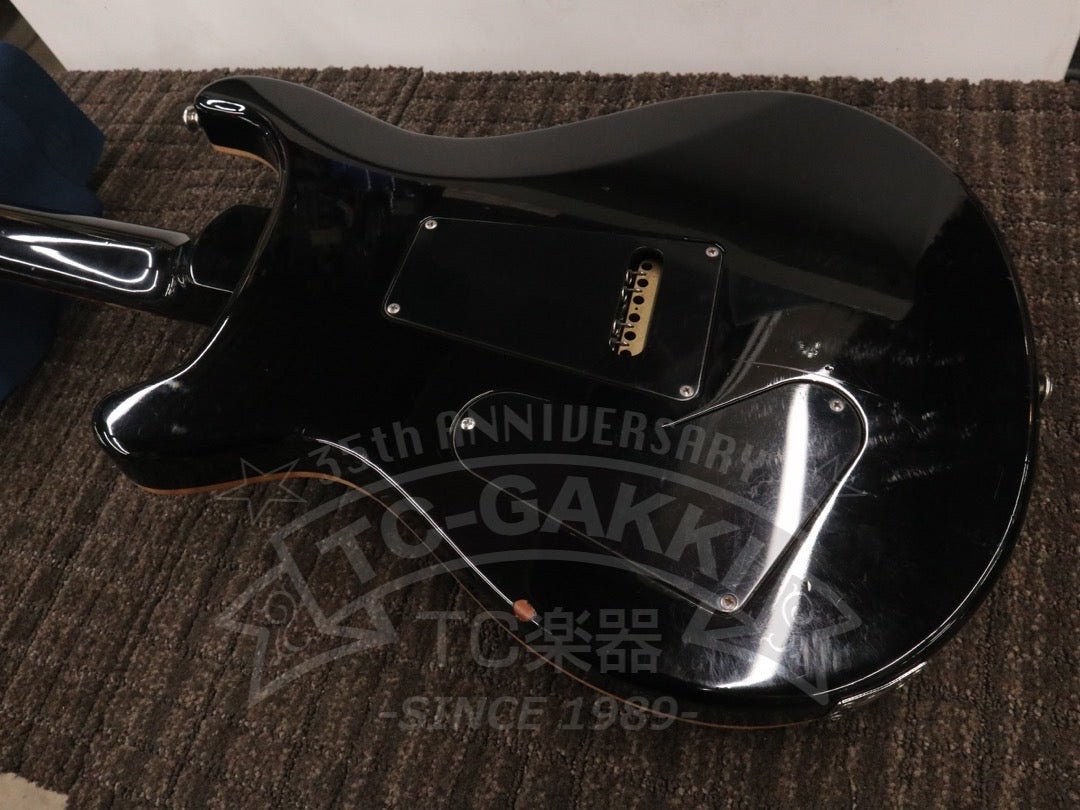 Custom 24 - TC楽器 - TCGAKKI