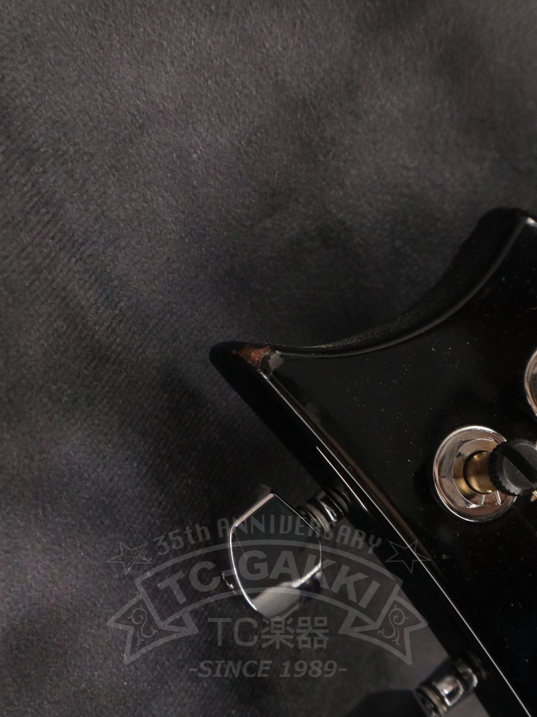 Custom 24 - TC楽器 - TCGAKKI