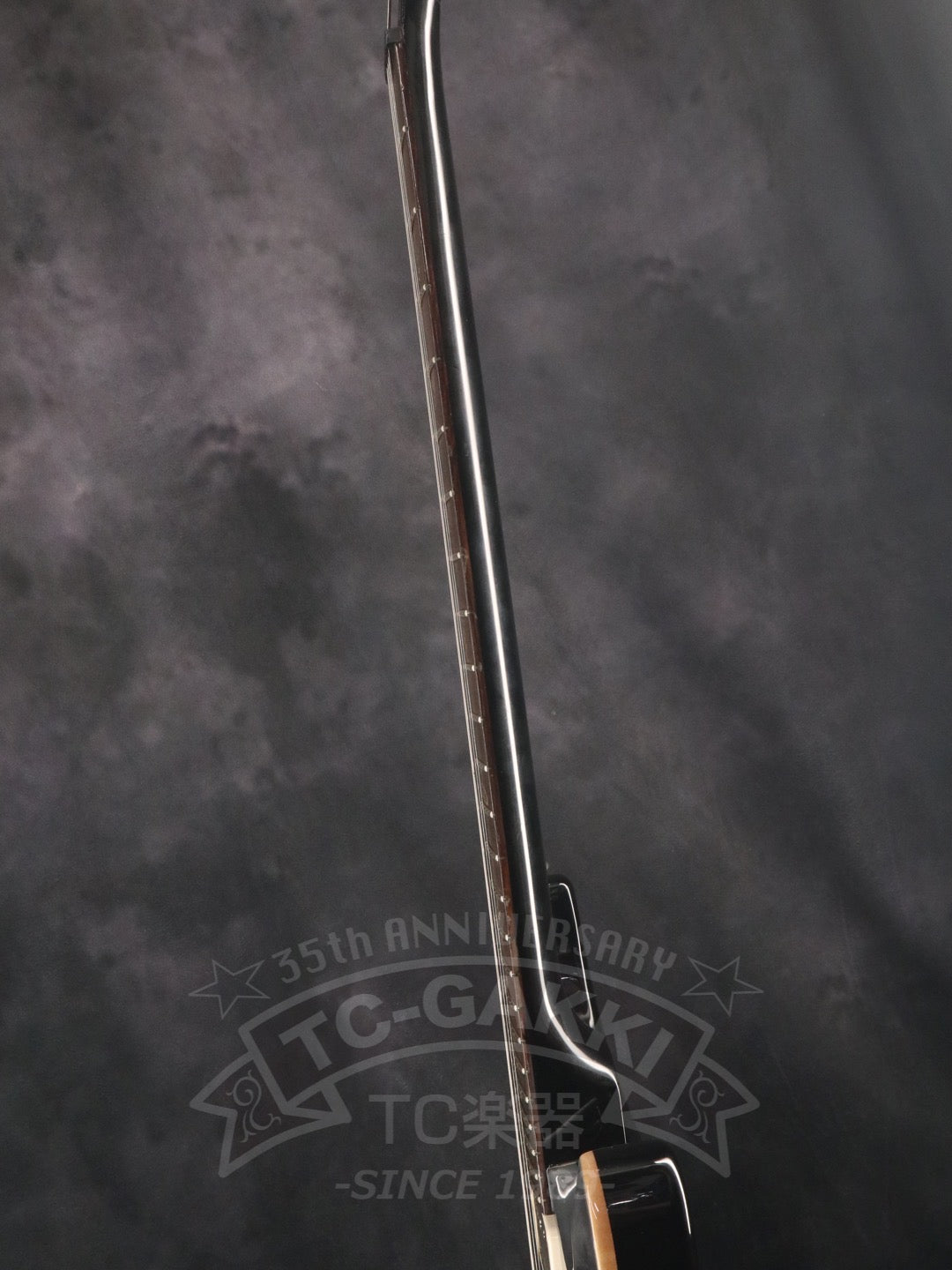 Custom 24 - TC楽器 - TCGAKKI