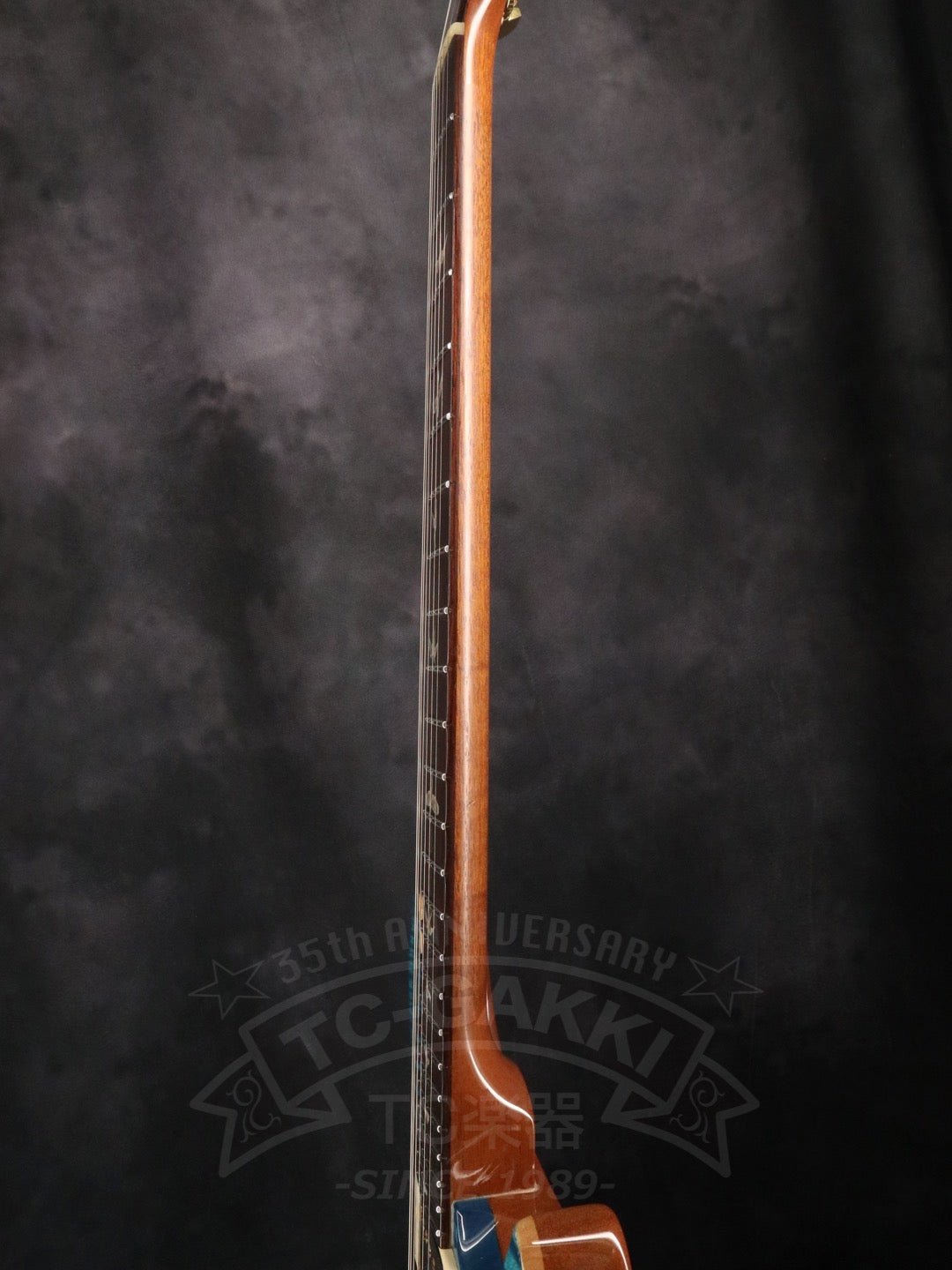 Custom 24 Artist Package - TC楽器 - TCGAKKI