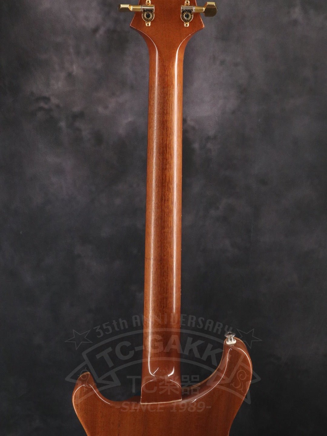 Custom 24 Artist Package - TC楽器 - TCGAKKI