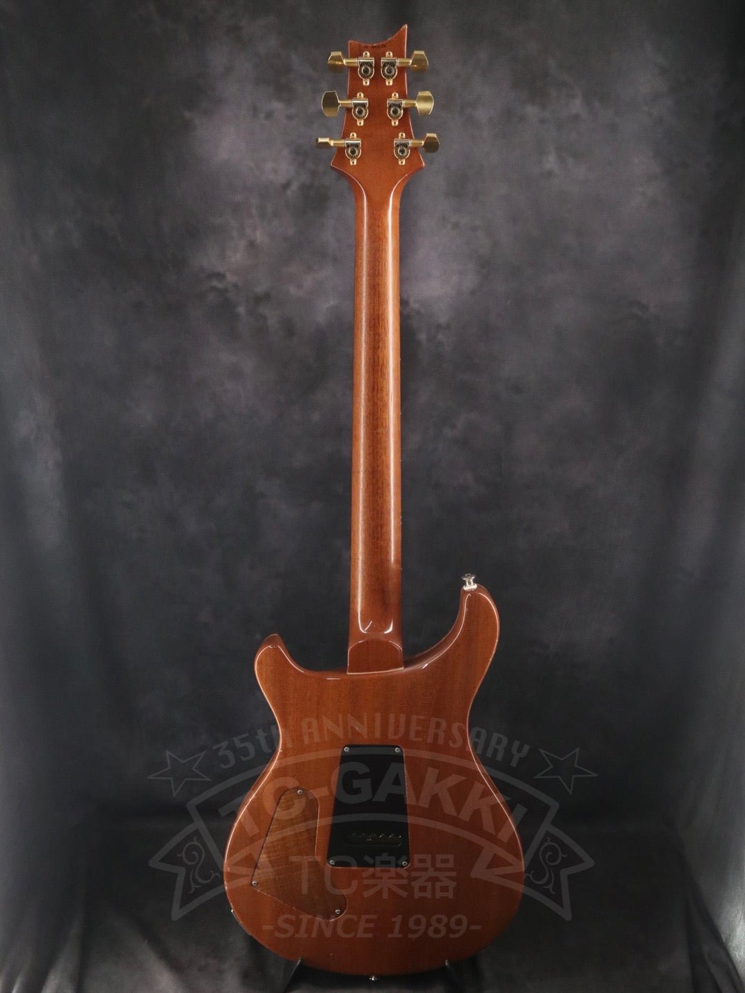 Custom 24 Artist Package - TC楽器 - TCGAKKI