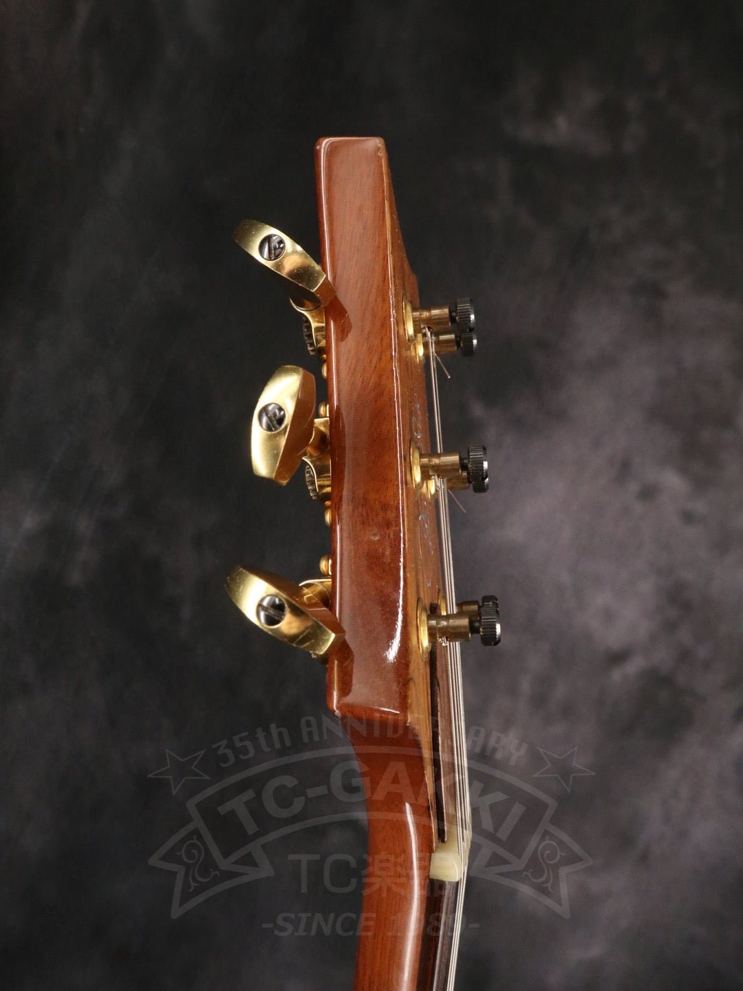 Custom 24 Artist Package - TC楽器 - TCGAKKI