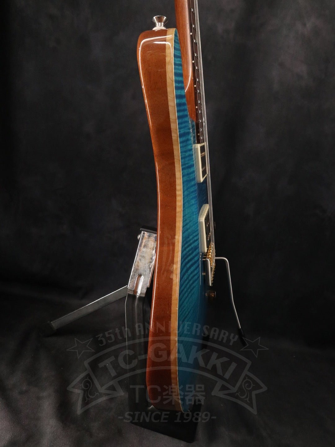 Custom 24 Artist Package - TC楽器 - TCGAKKI