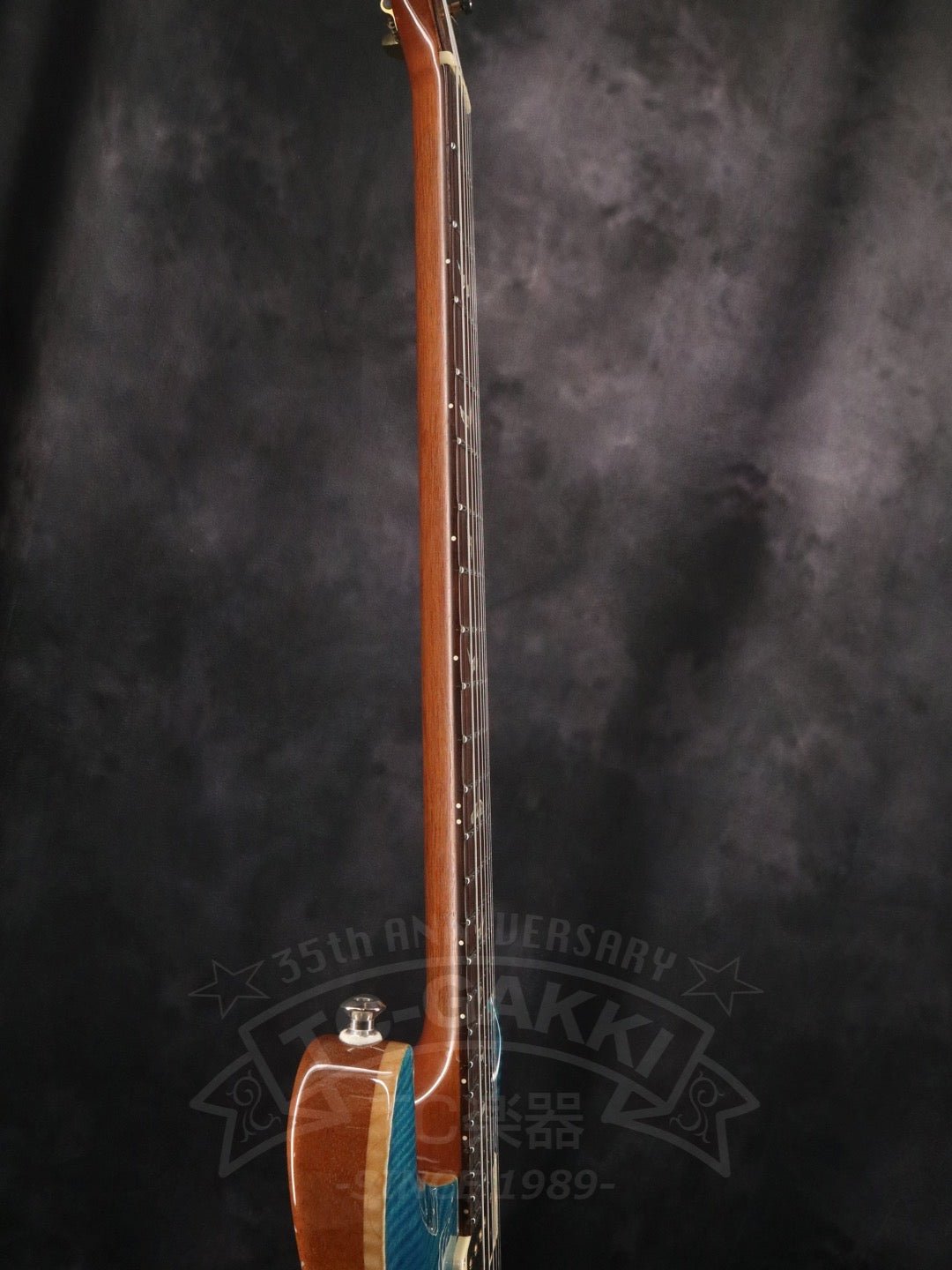 Custom 24 Artist Package - TC楽器 - TCGAKKI