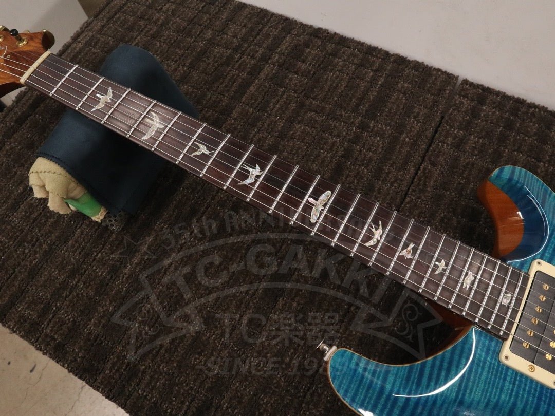 Custom 24 Artist Package - TC楽器 - TCGAKKI