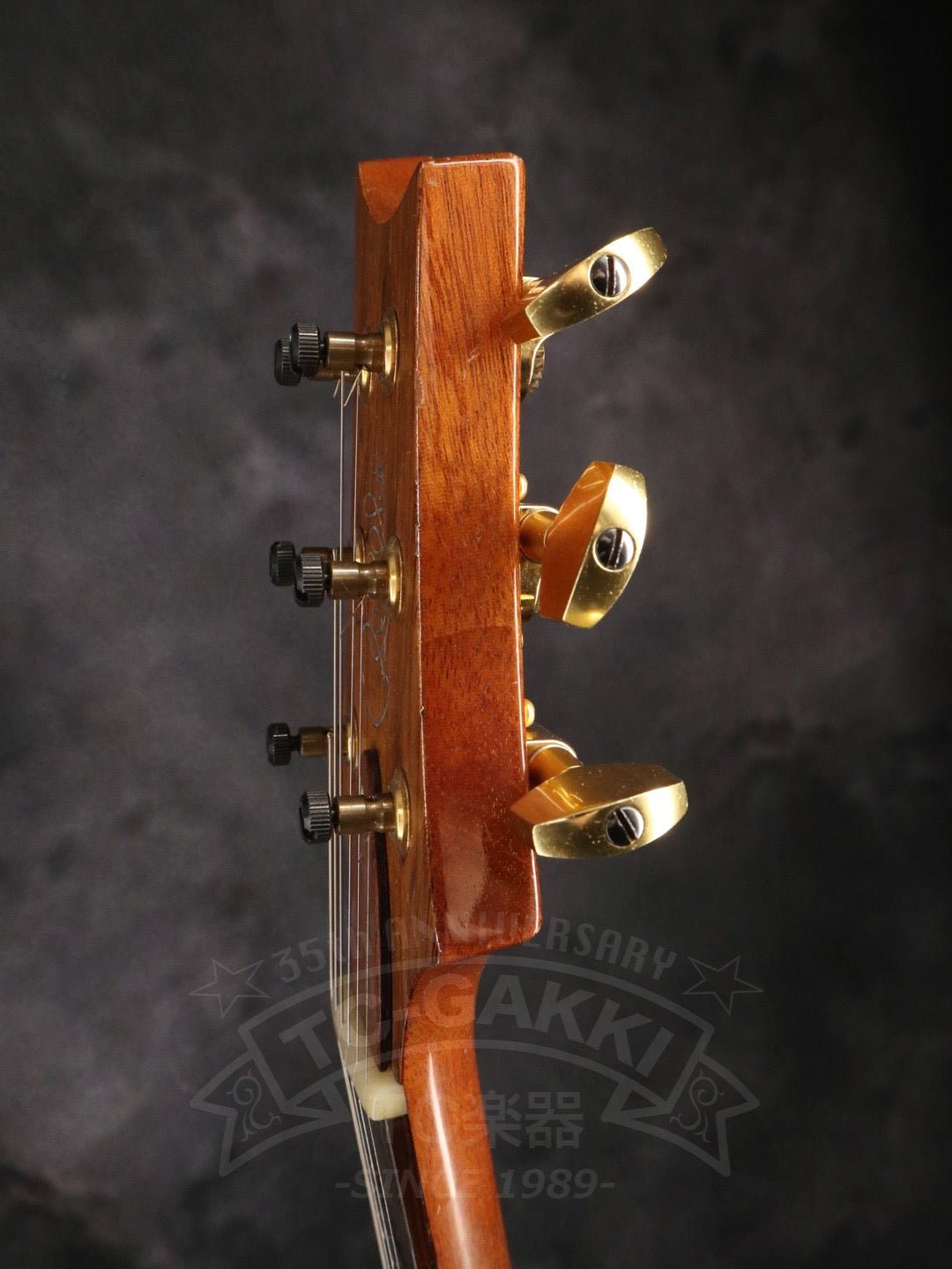 Custom 24 Artist Package - TC楽器 - TCGAKKI