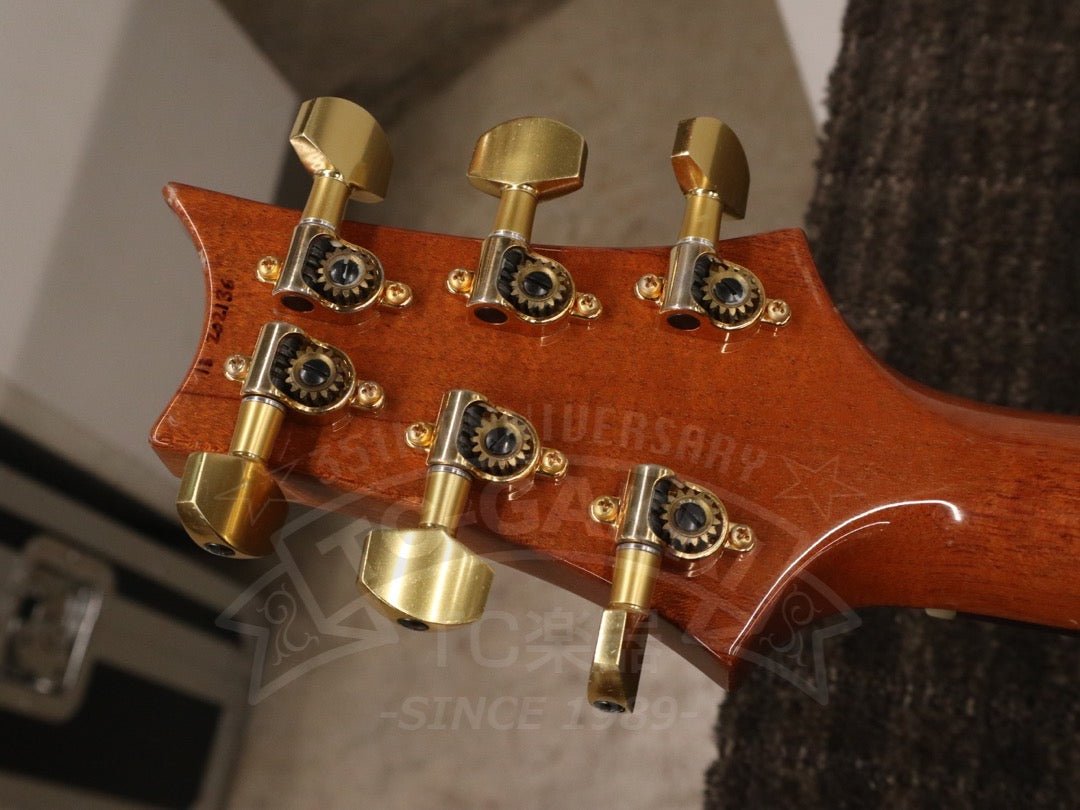 Custom 24 Artist Package - TC楽器 - TCGAKKI