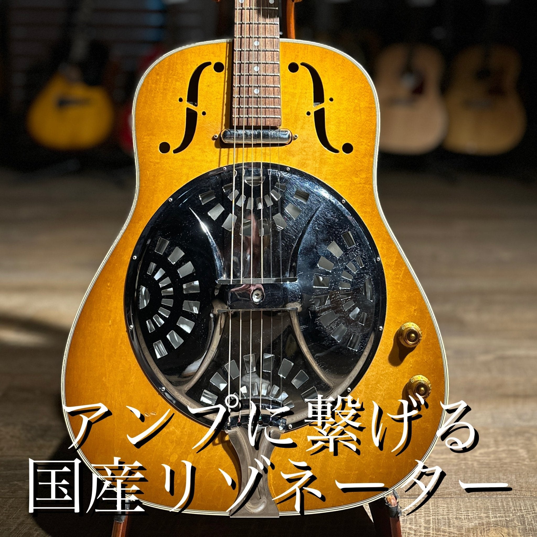 D - 800P - TC楽器 - TCGAKKI