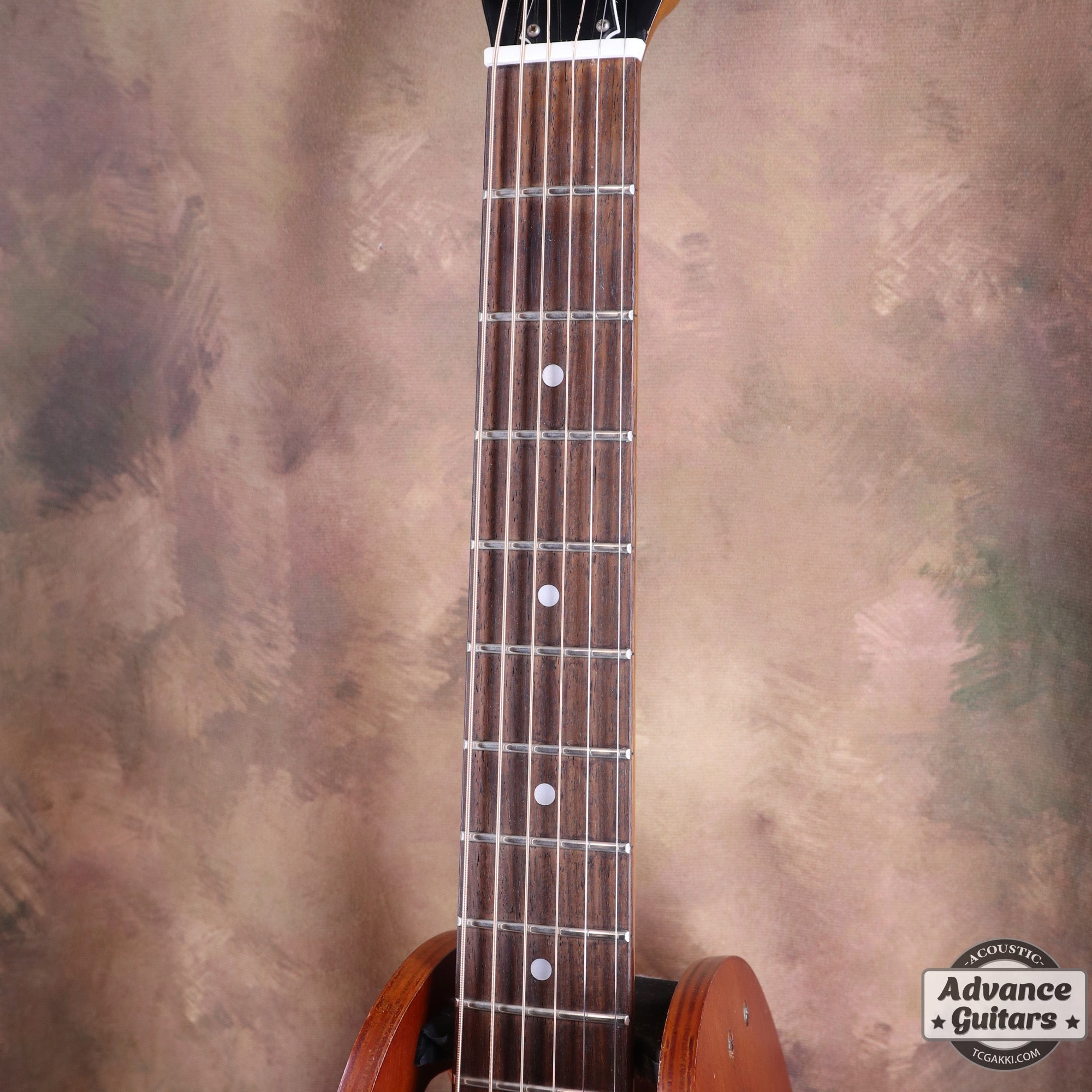 D - 800P - TC楽器 - TCGAKKI