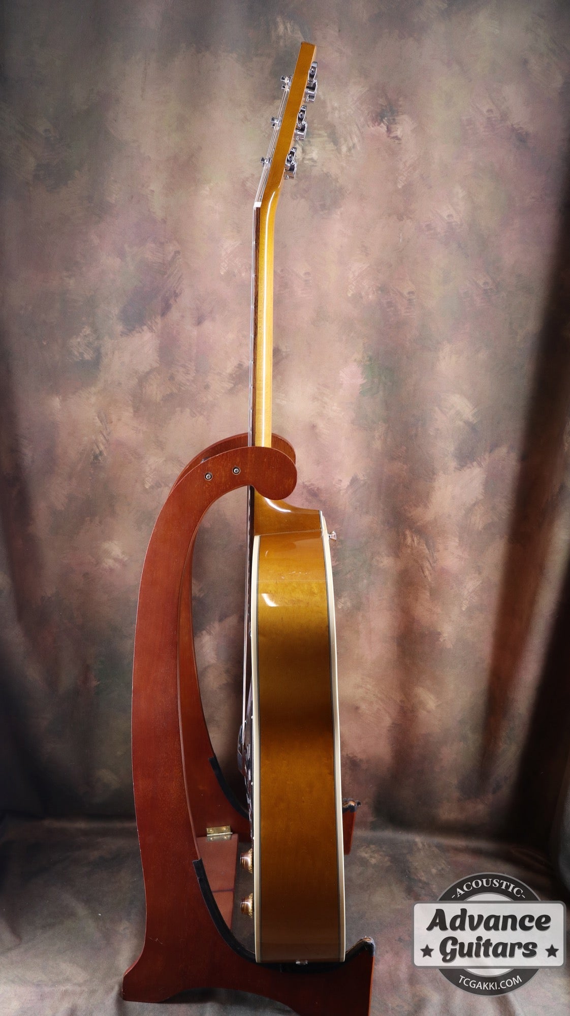 D - 800P - TC楽器 - TCGAKKI