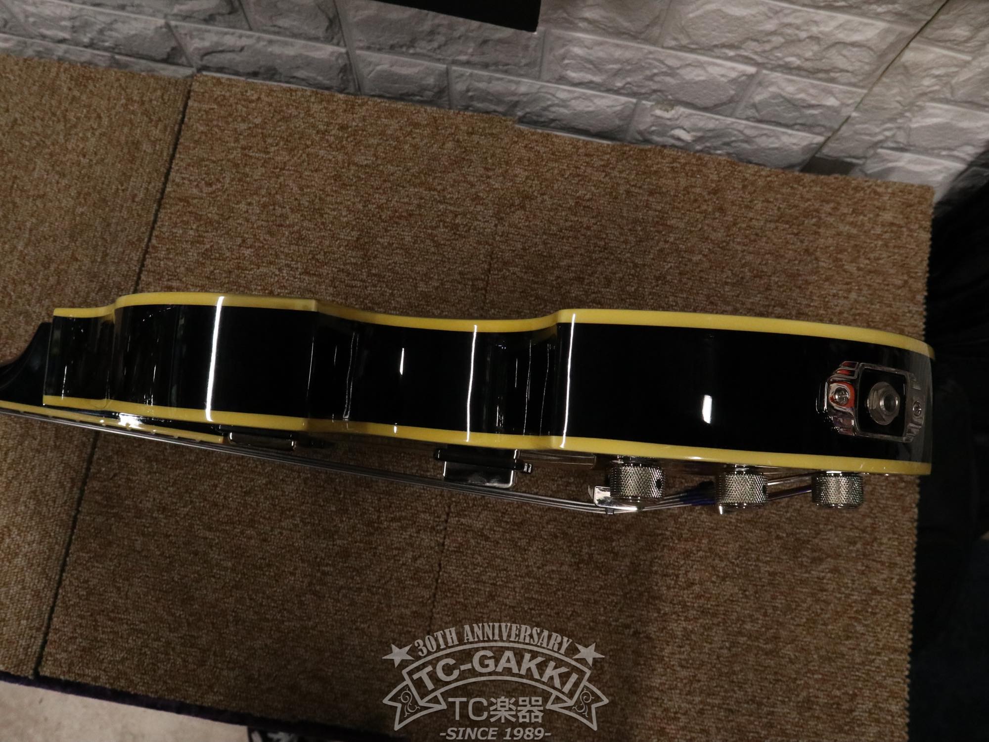 DBV - 2T Violin Bass - TC楽器 - TCGAKKI