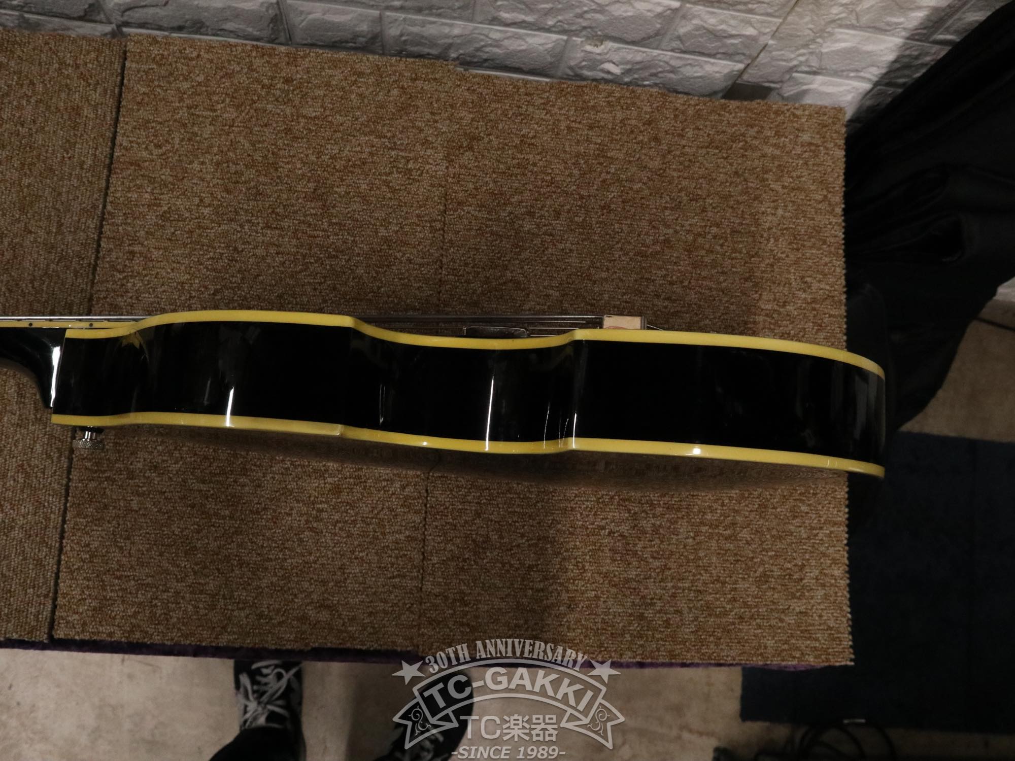 DBV - 2T Violin Bass - TC楽器 - TCGAKKI