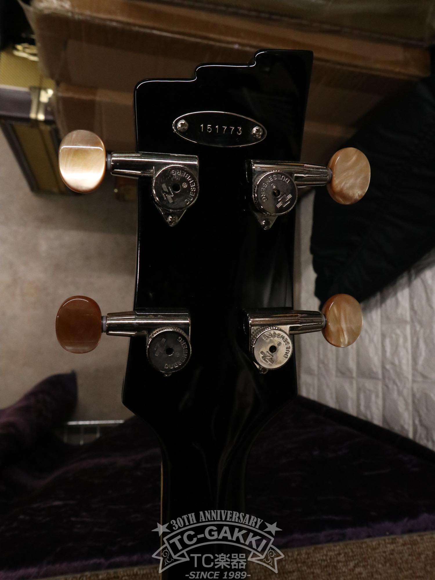 DBV - 2T Violin Bass - TC楽器 - TCGAKKI