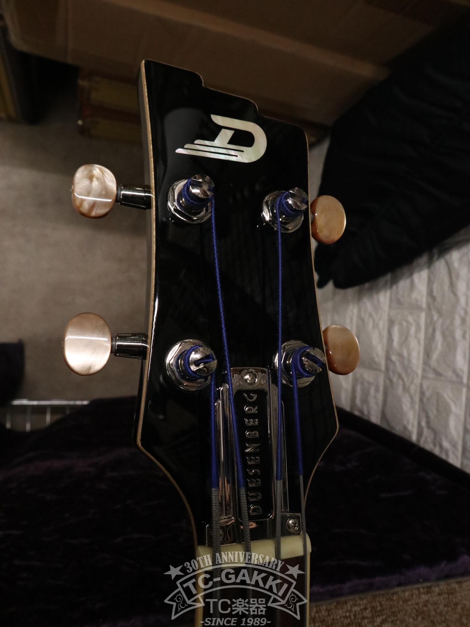 DBV - 2T Violin Bass - TC楽器 - TCGAKKI