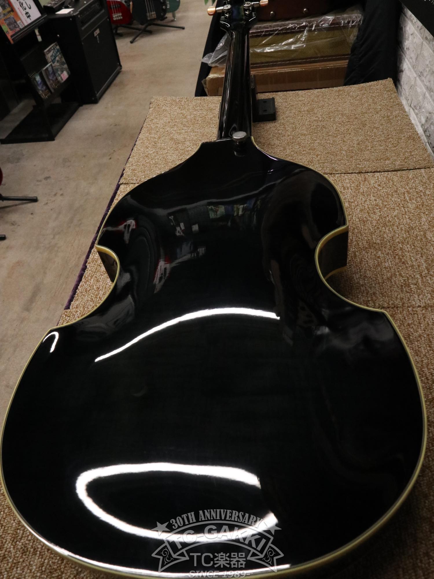 DBV - 2T Violin Bass - TC楽器 - TCGAKKI