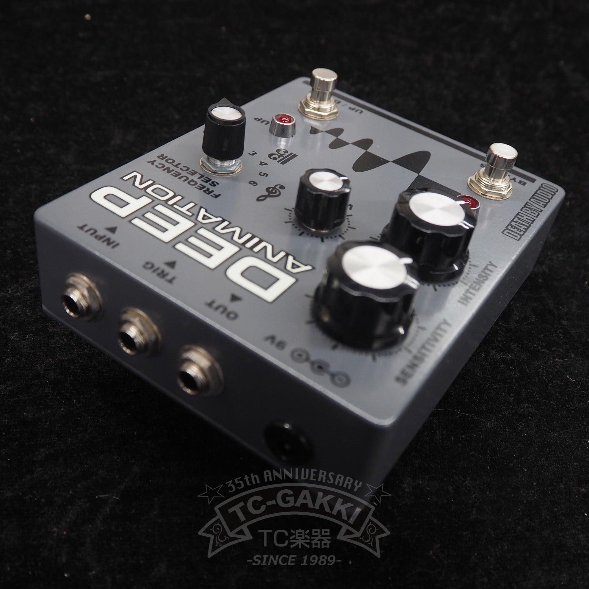 DEEP ANIMATION - TC楽器 - TCGAKKI