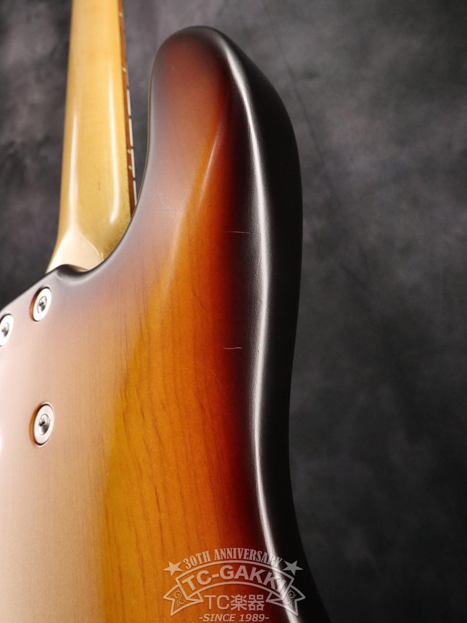 Deluxe Satin 4 Strings J - TC楽器 - TCGAKKI