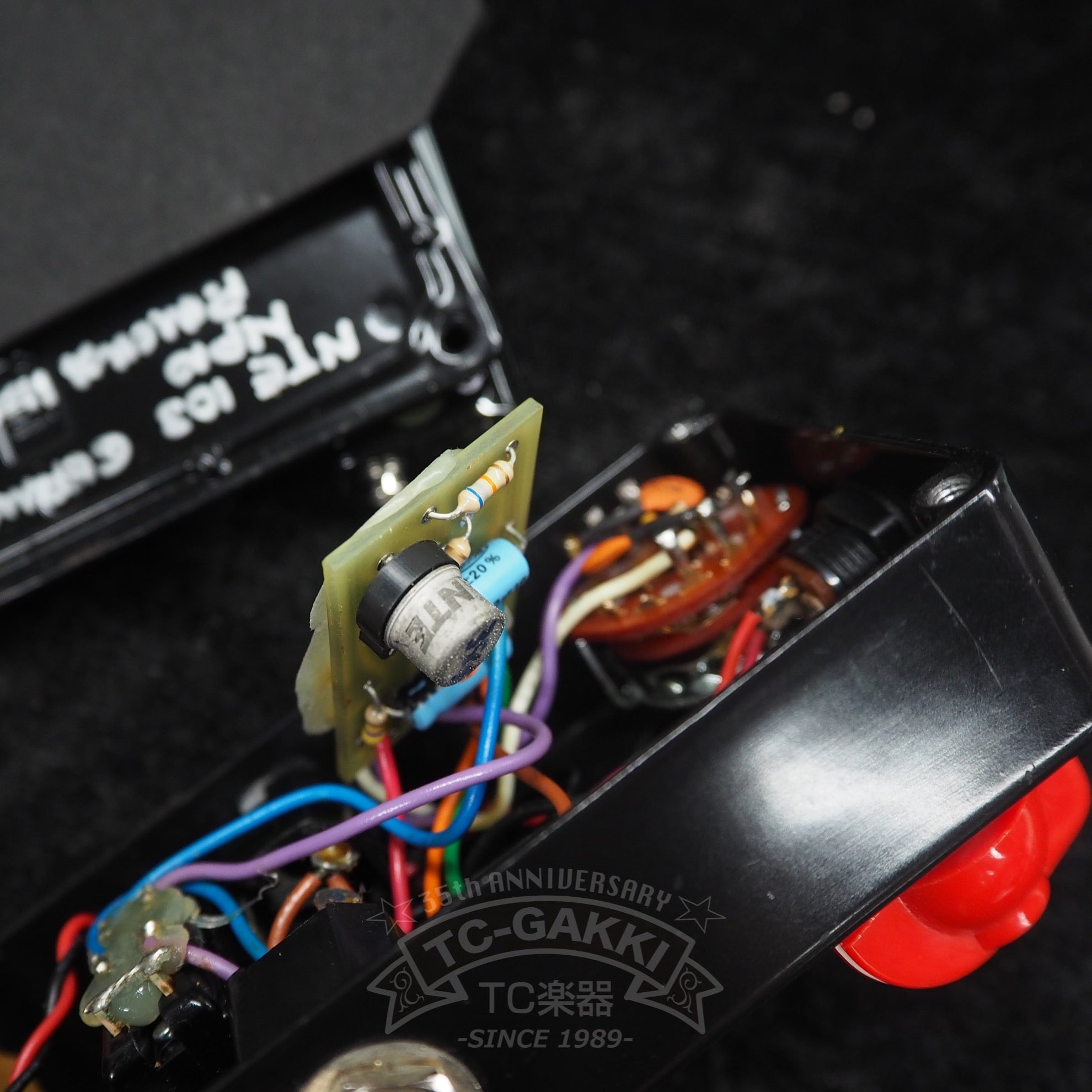 Diaz AMPLIFIERS TEXAS RANGER - TC楽器 - TCGAKKI