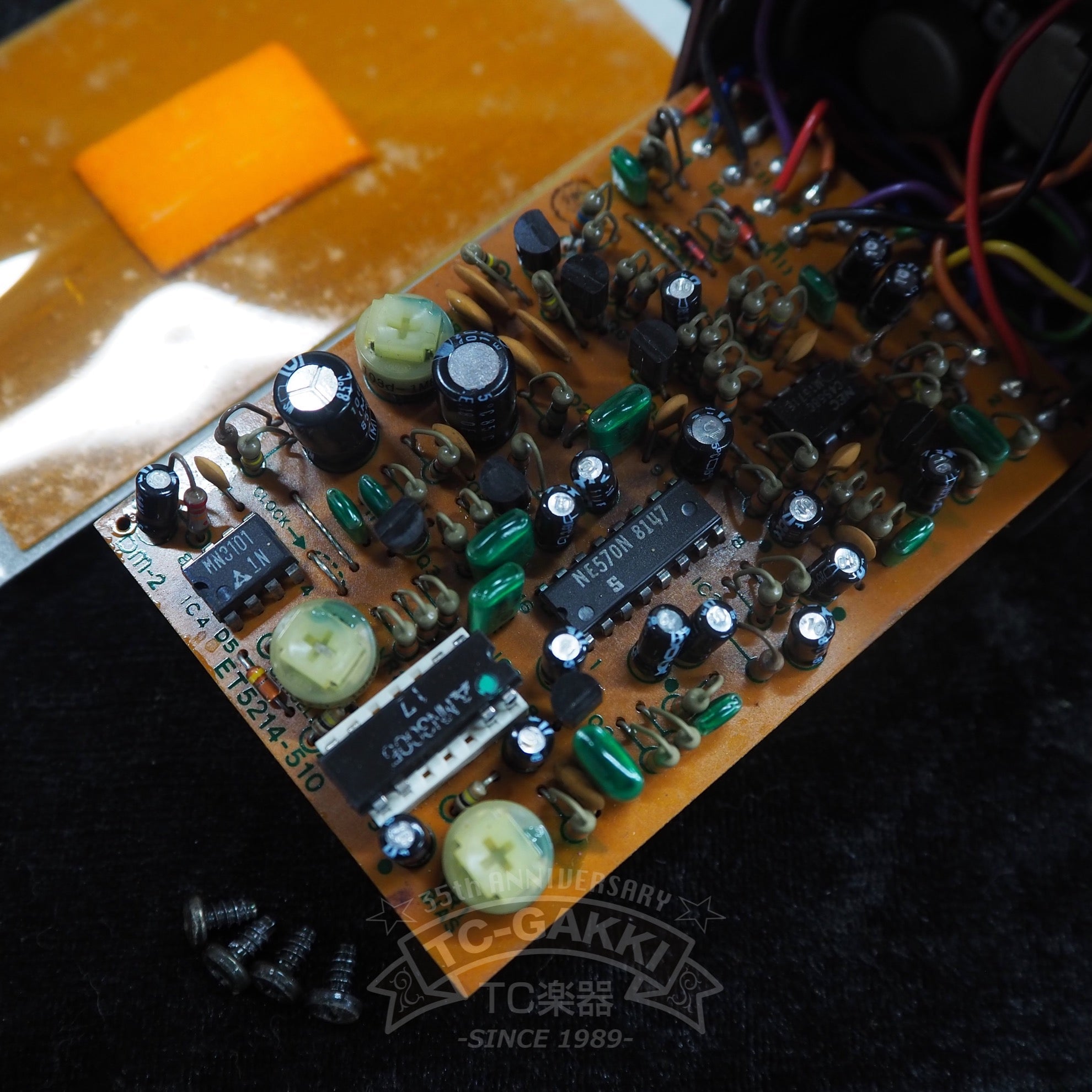 DM - 2 Delay (Early Ver./JAPAN/MN3005+MN3101) - TC楽器 - TCGAKKI