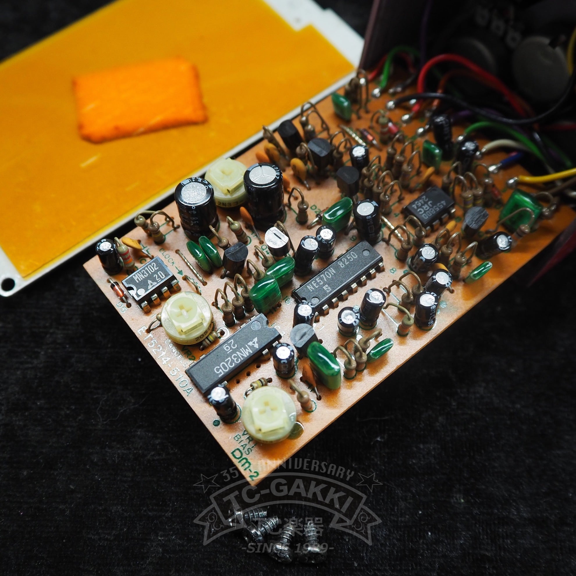 DM - 2 Delay (JAPAN) - TC楽器 - TCGAKKI