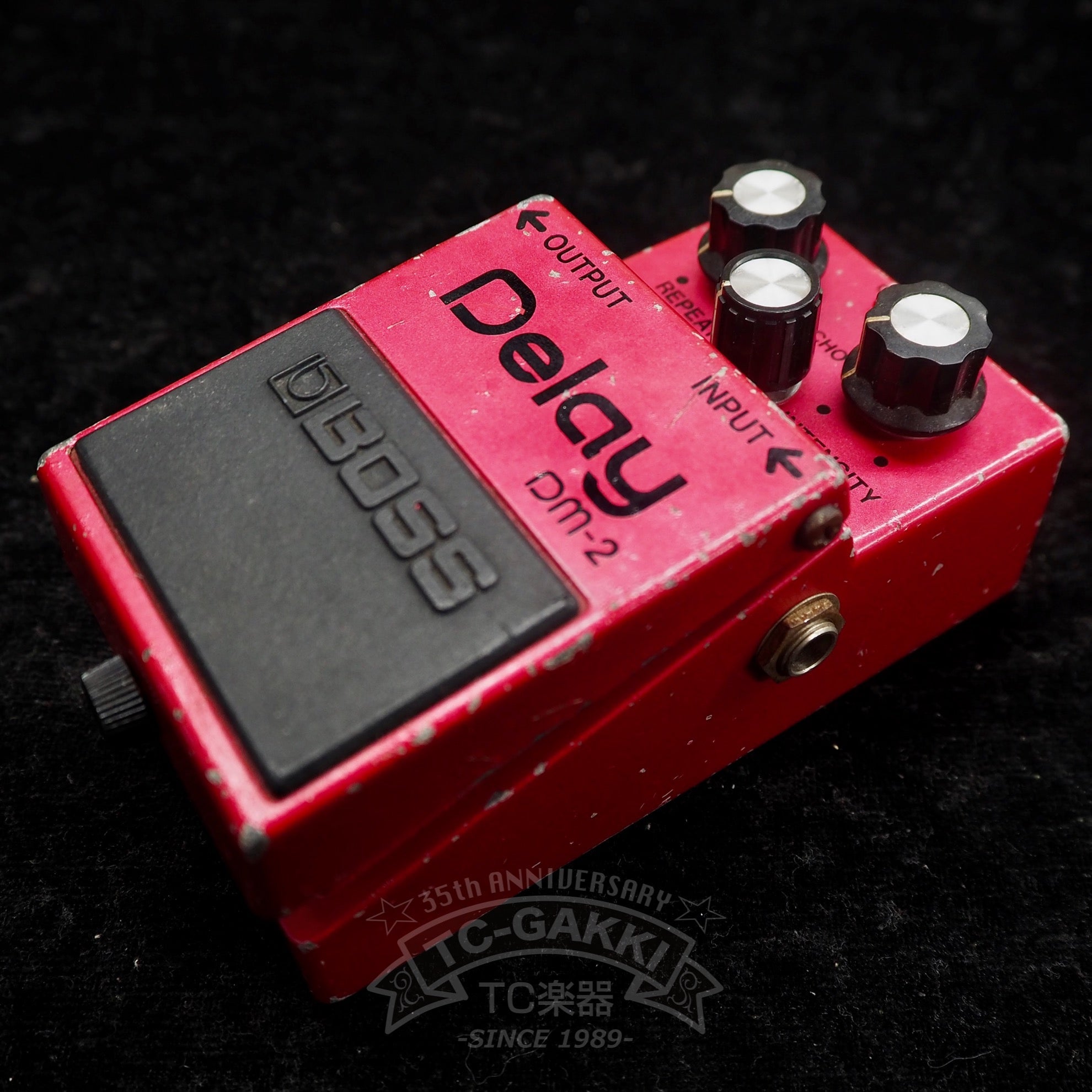 DM - 2 Delay (JAPAN) - TC楽器 - TCGAKKI