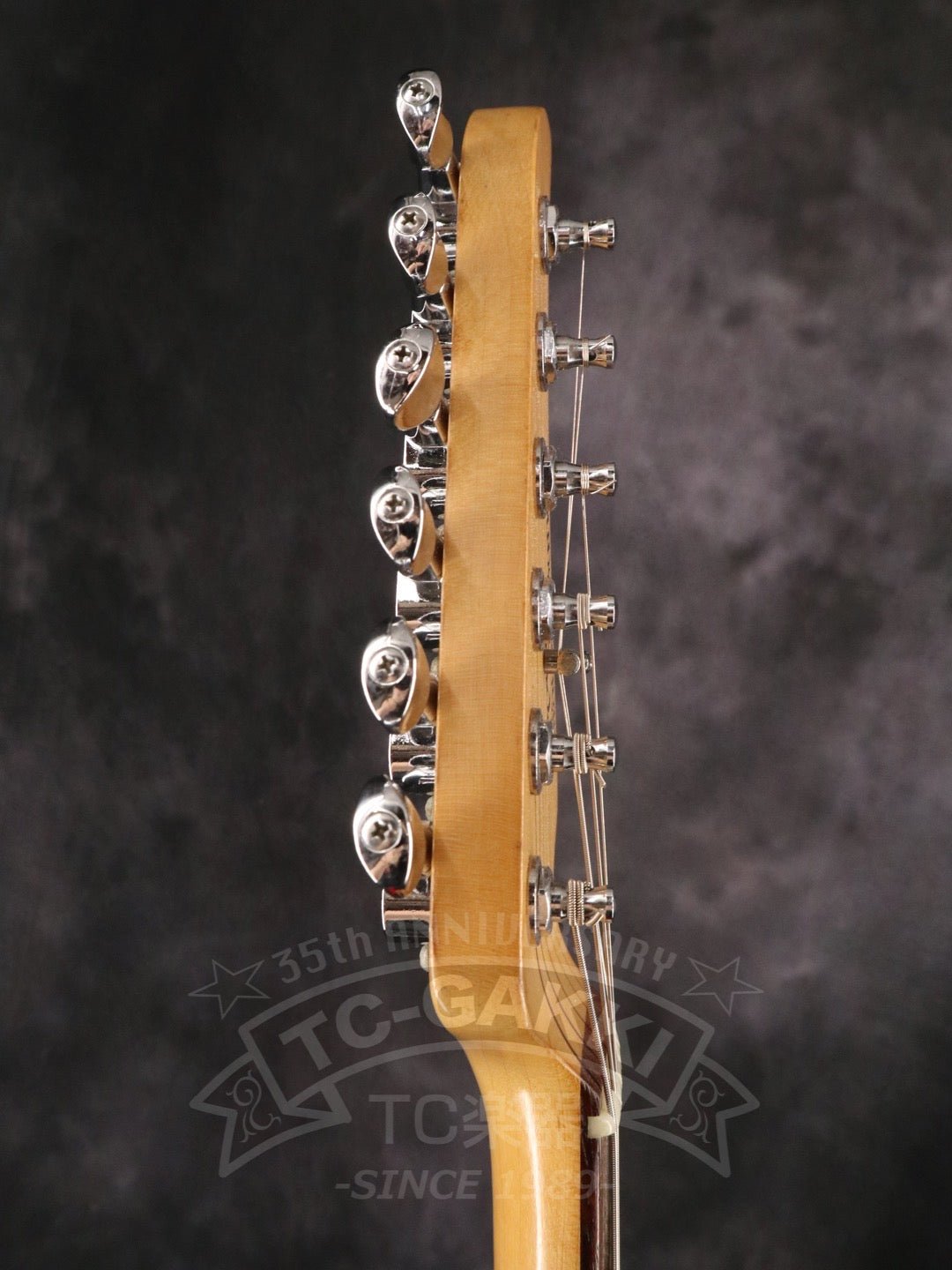 Dove Master - TC楽器 - TCGAKKI