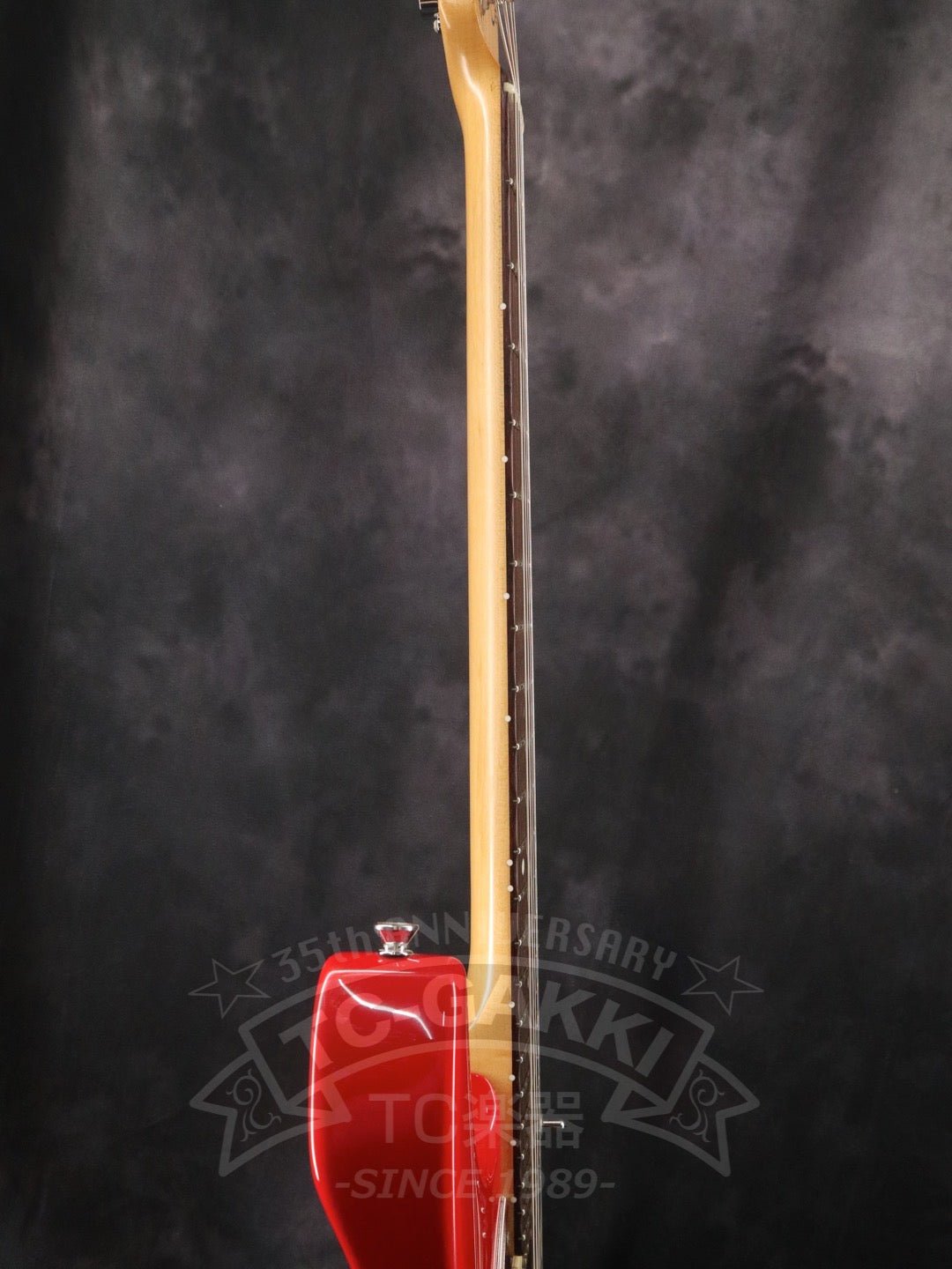 Dove Master - TC楽器 - TCGAKKI