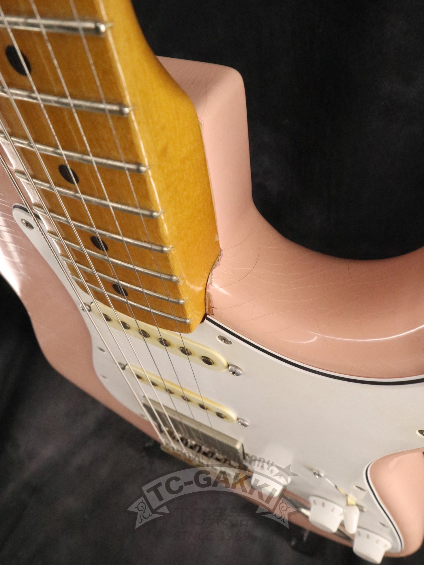 Dover HSS Shell Pink - TC楽器 - TCGAKKI