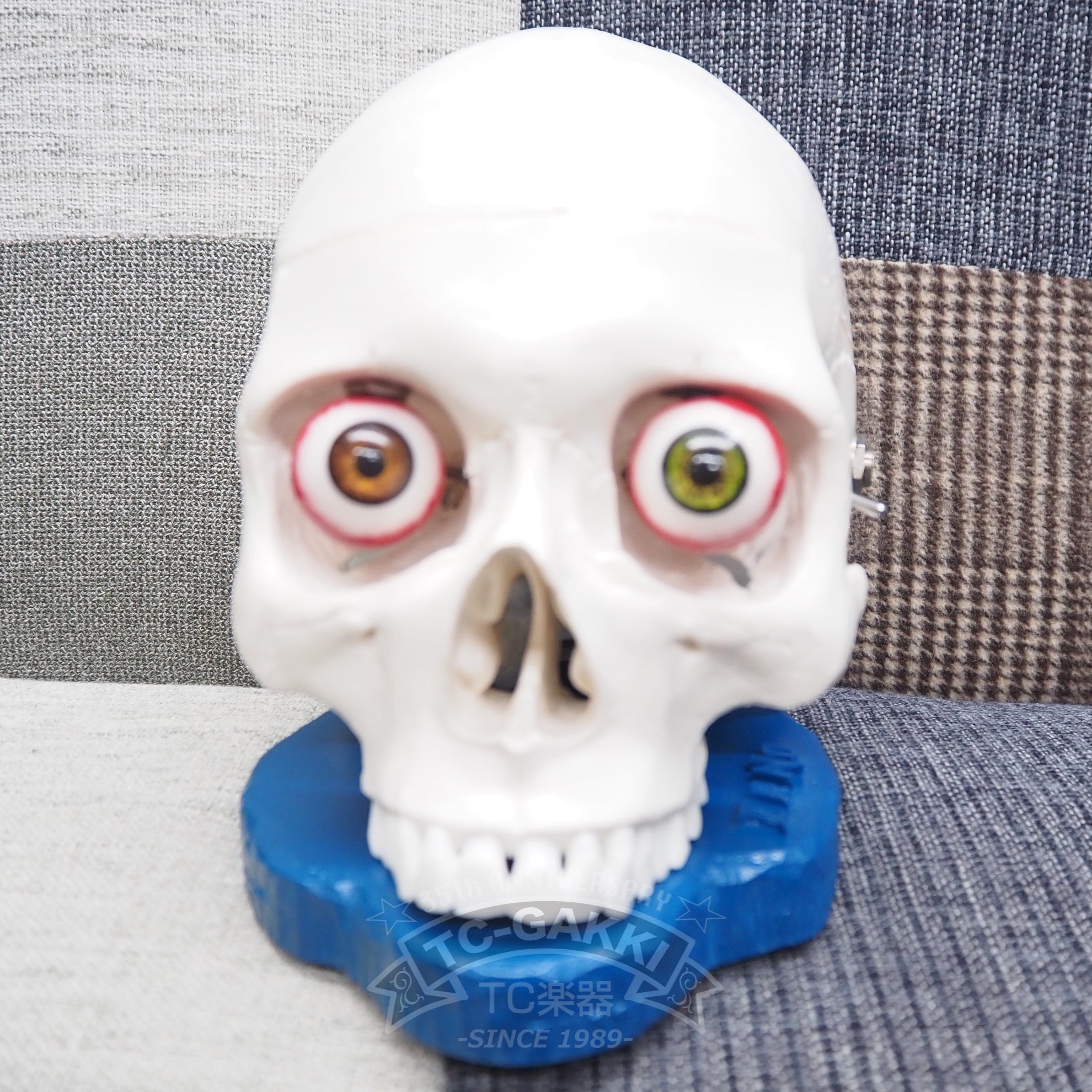 DR.NO effects Skull Fuzz “Original” - TC楽器 - TCGAKKI
