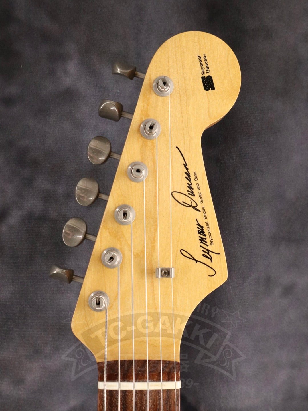 DS model - TC楽器 - TCGAKKI