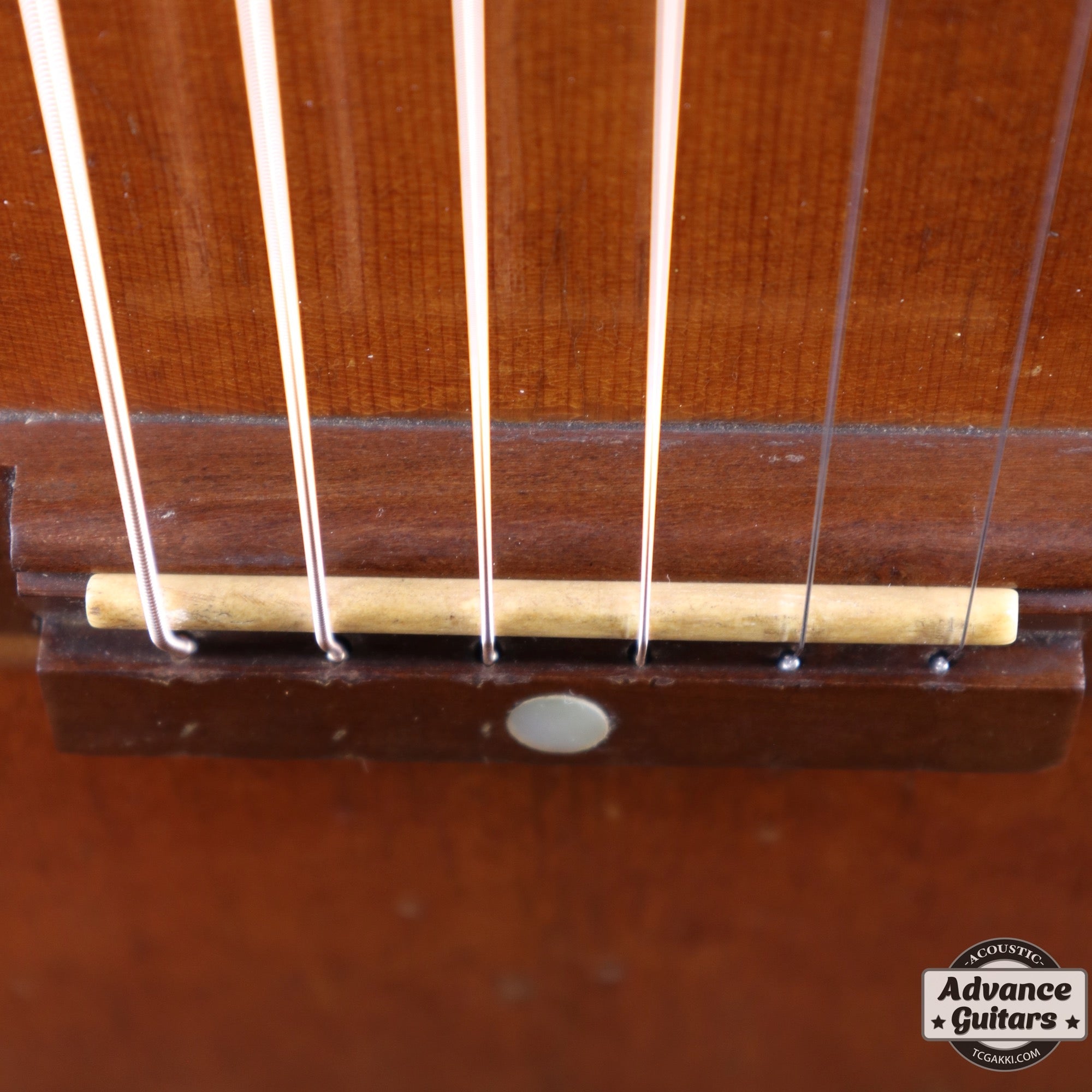 Dynamic Guitar No.80 - TC楽器 - TCGAKKI