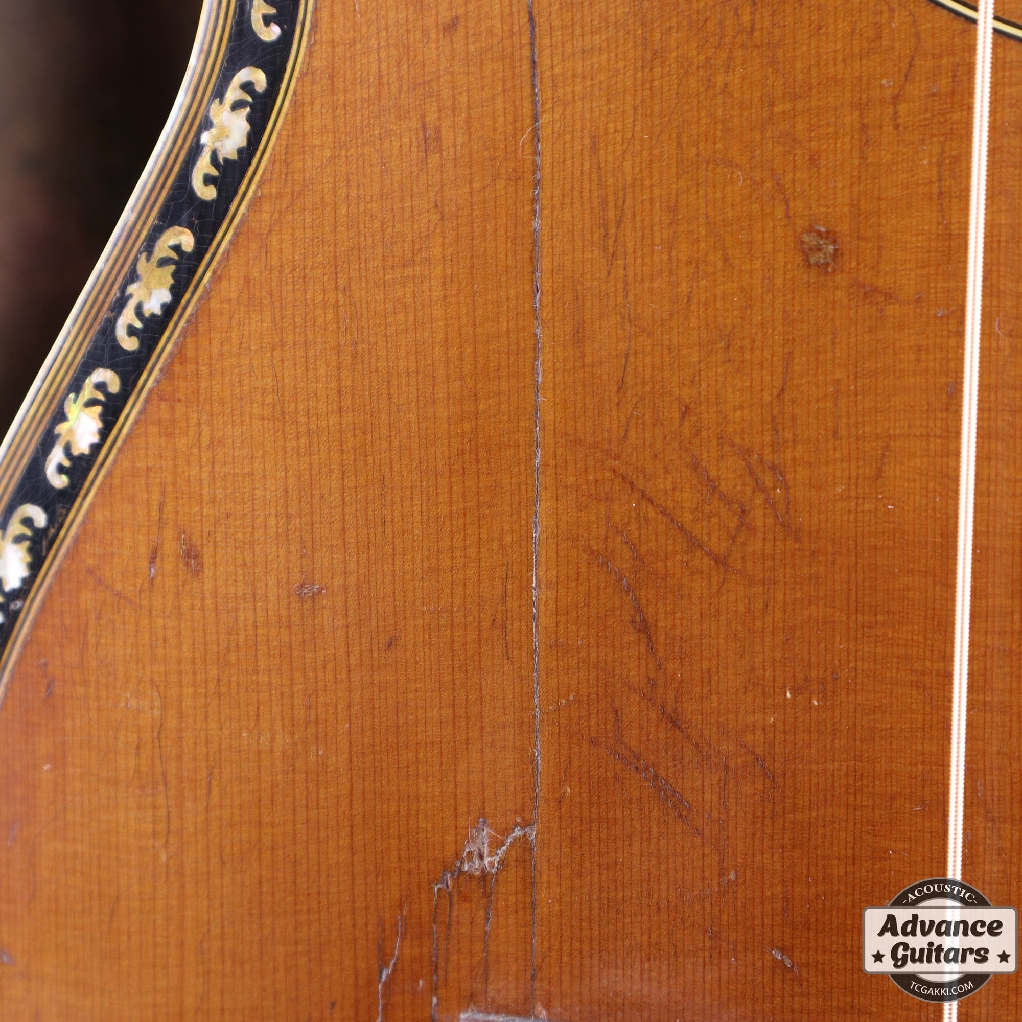 Dynamic Guitar No.80 - TC楽器 - TCGAKKI