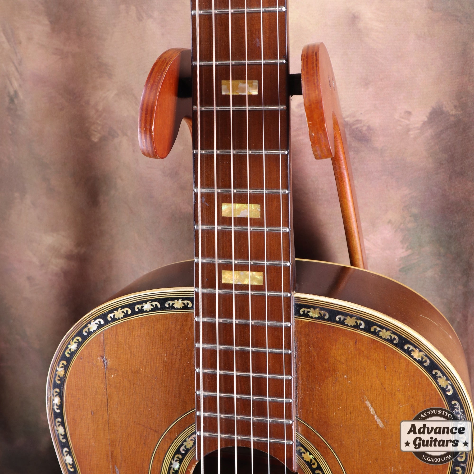 Dynamic Guitar No.80 - TC楽器 - TCGAKKI