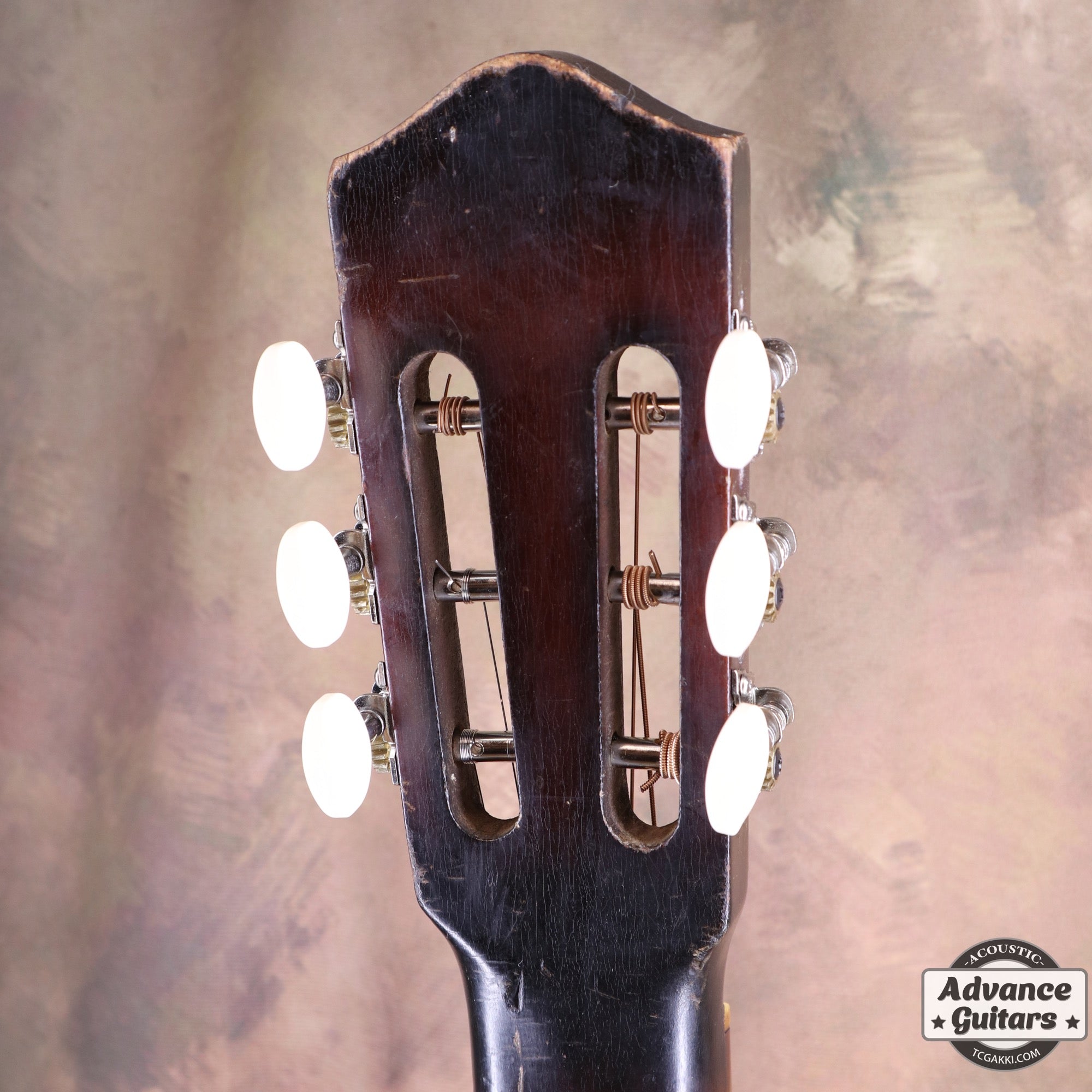 Dynamic Guitar No.80 - TC楽器 - TCGAKKI