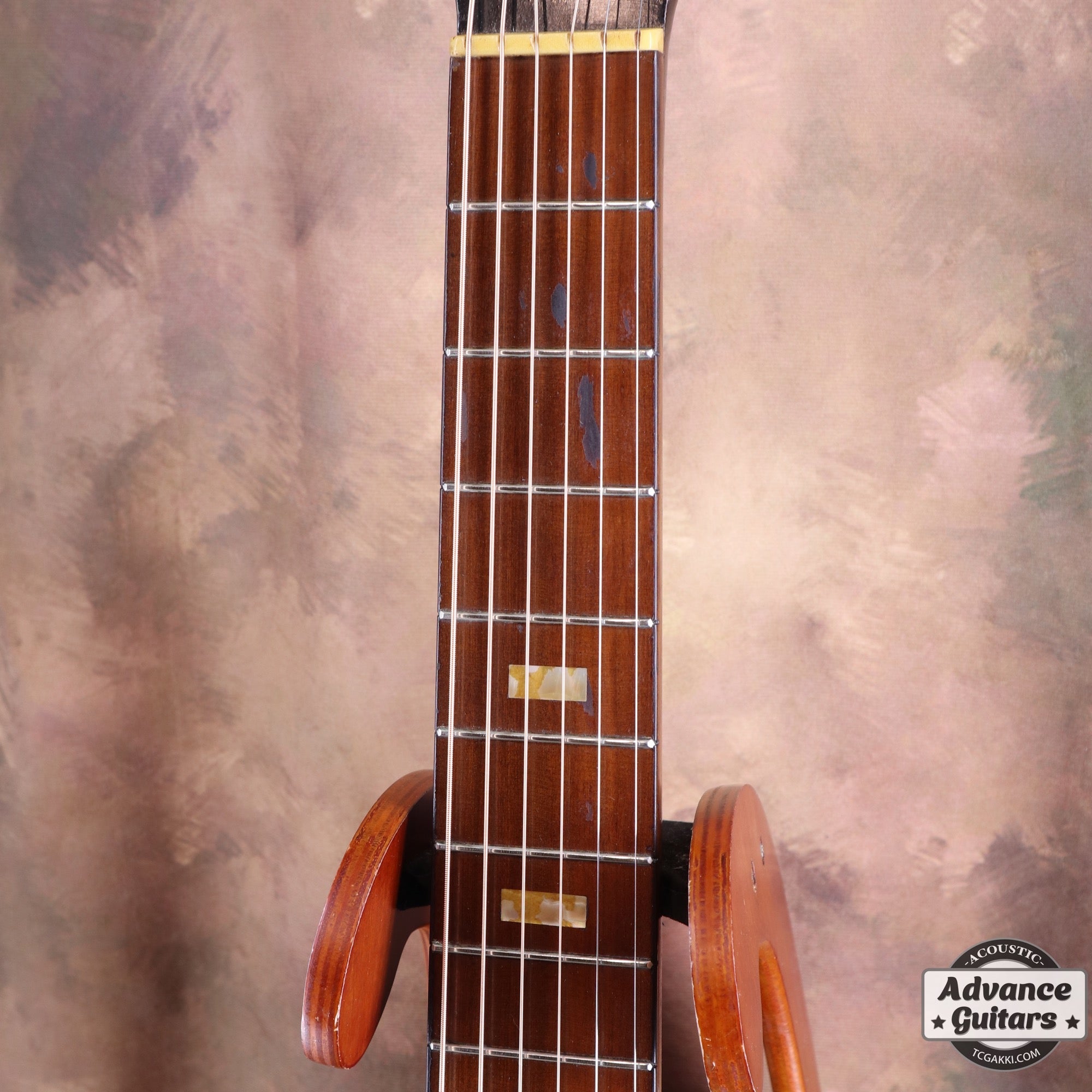 Dynamic Guitar No.80 - TC楽器 - TCGAKKI