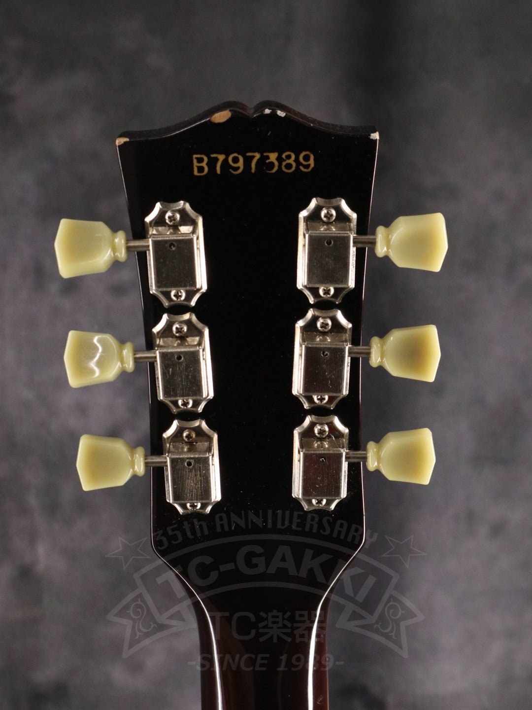 EG500 - TC楽器 - TCGAKKI