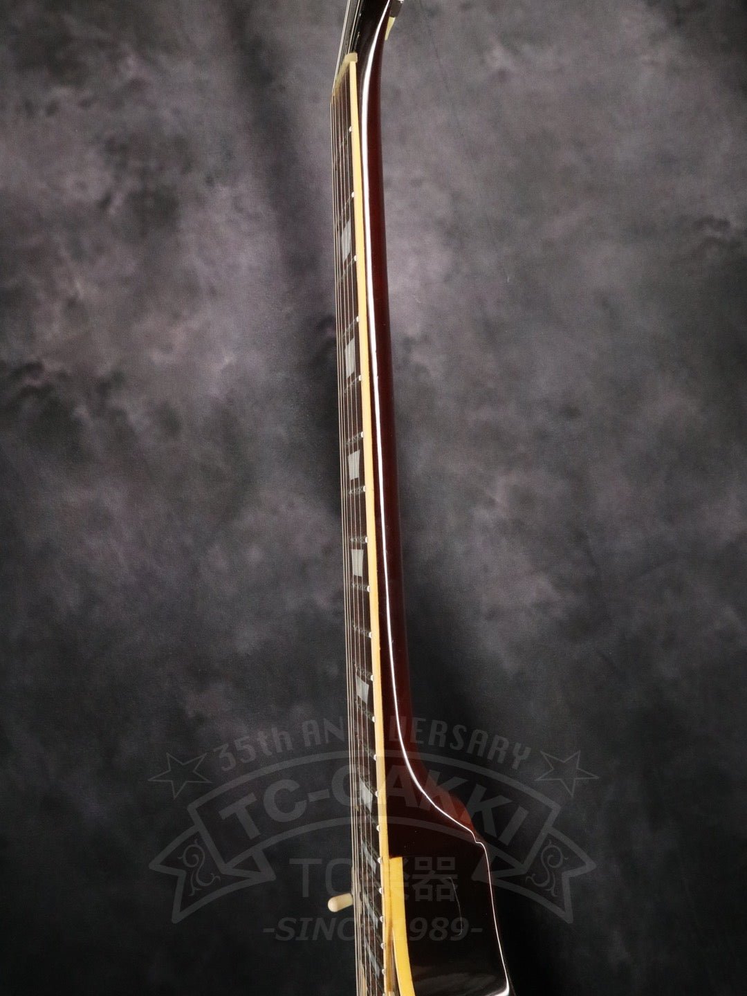 EG500 - TC楽器 - TCGAKKI