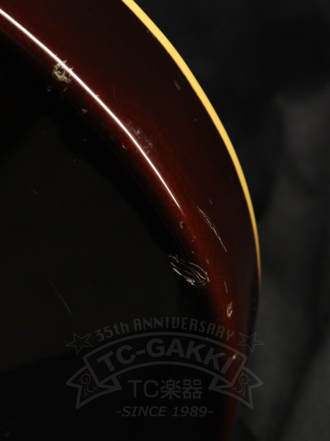 EG500 - TC楽器 - TCGAKKI