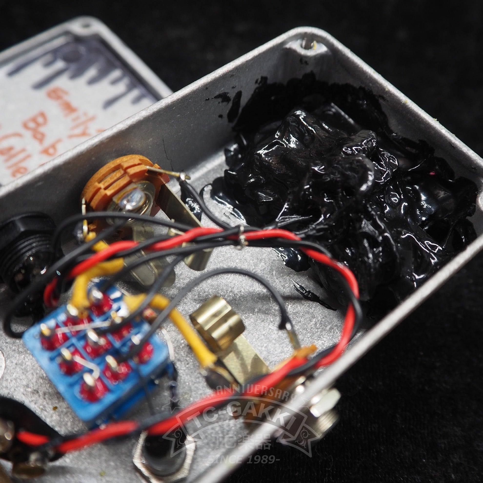 Emily's Baby - TC楽器 - TCGAKKI